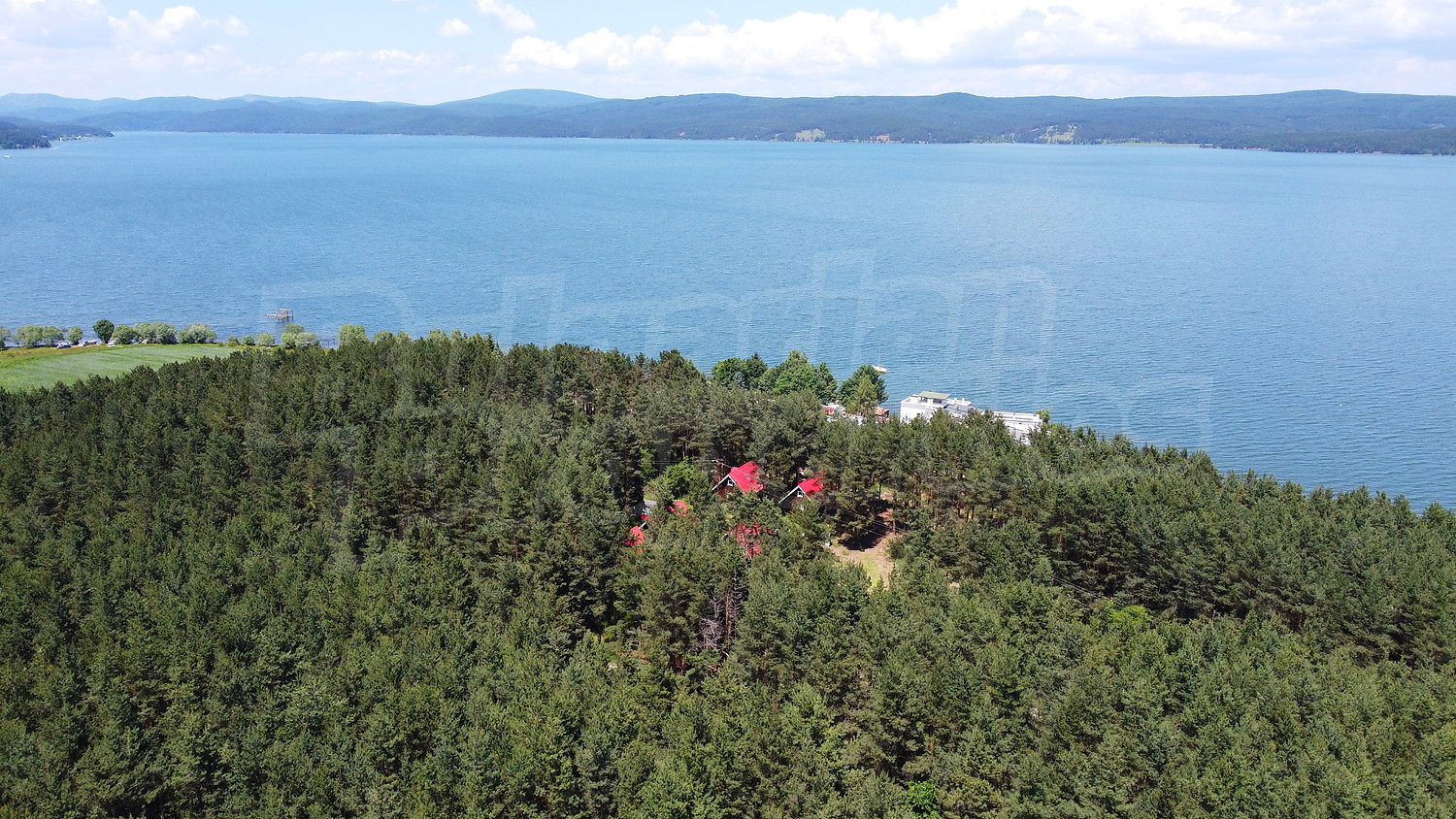 outside, sea, green area