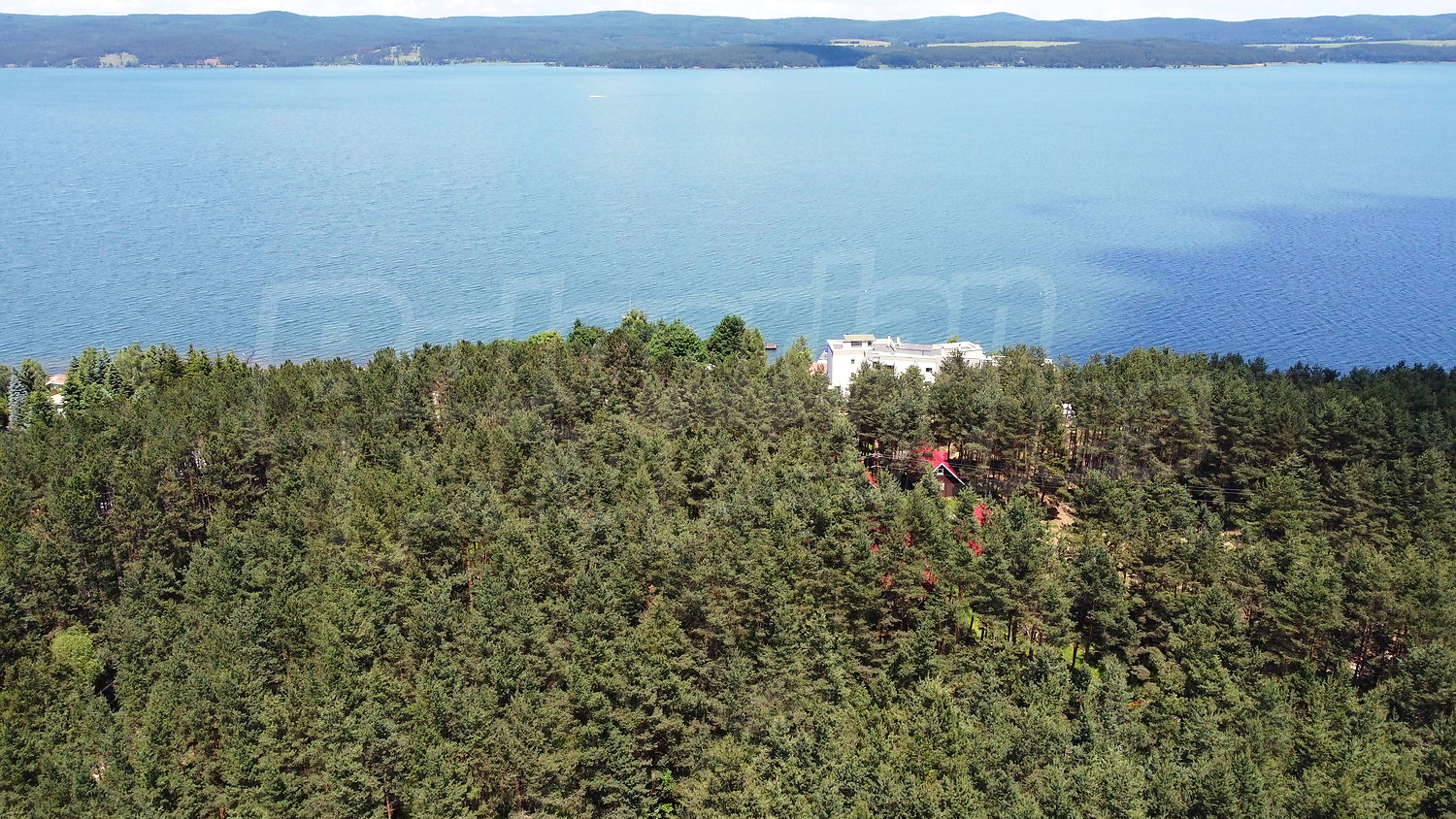 outside, sea, green area