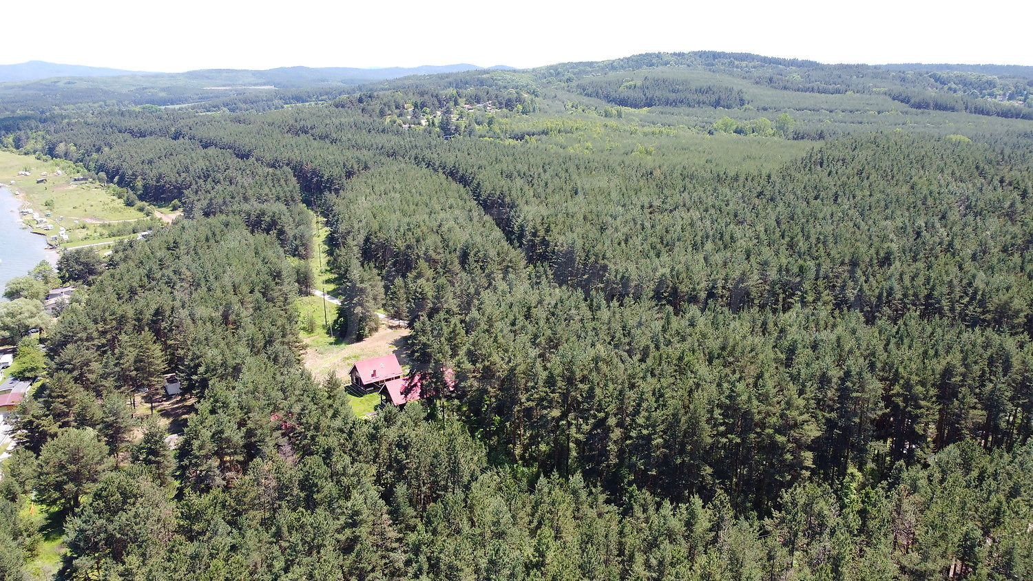 outside, green area