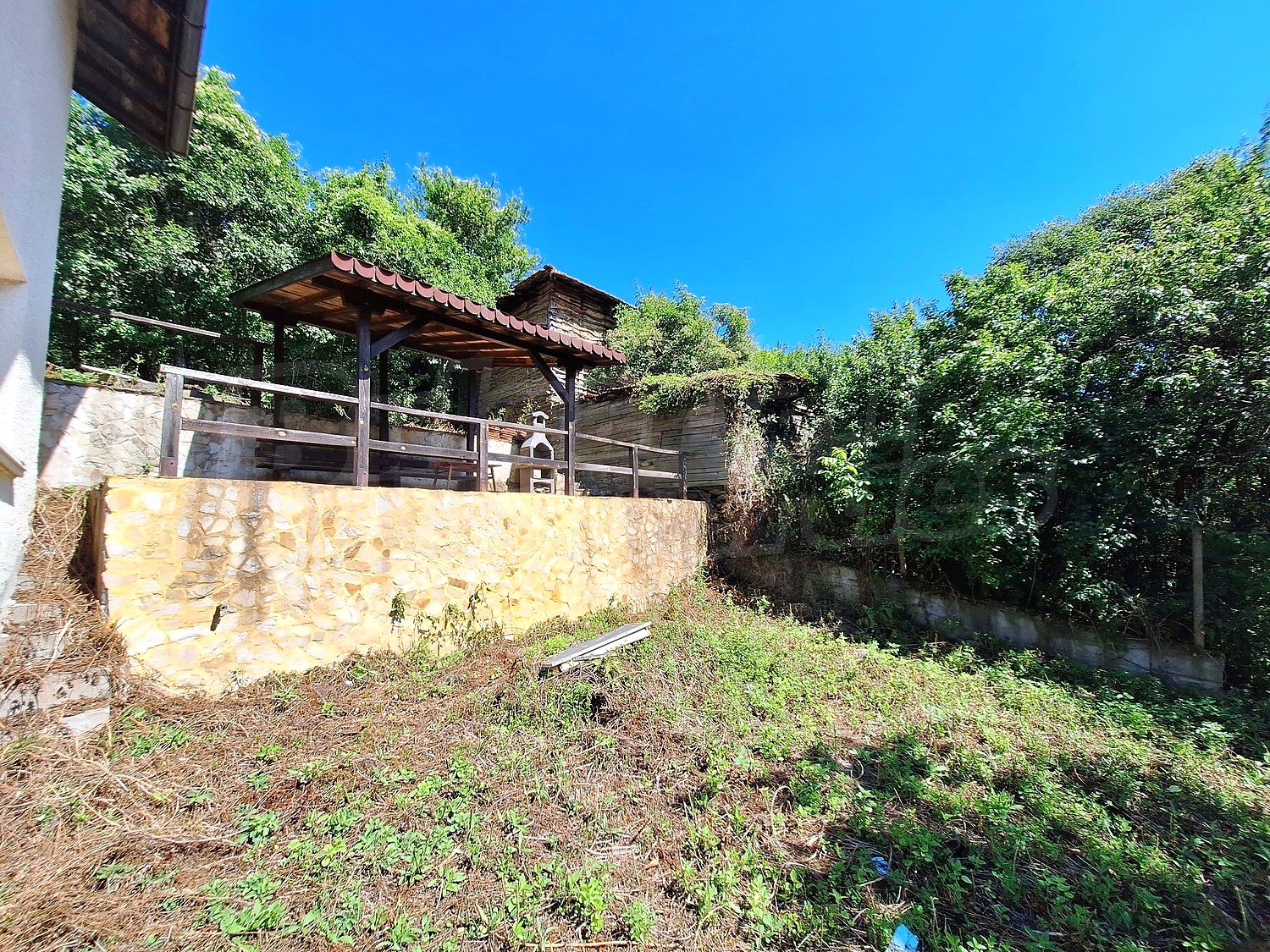 outside, garden