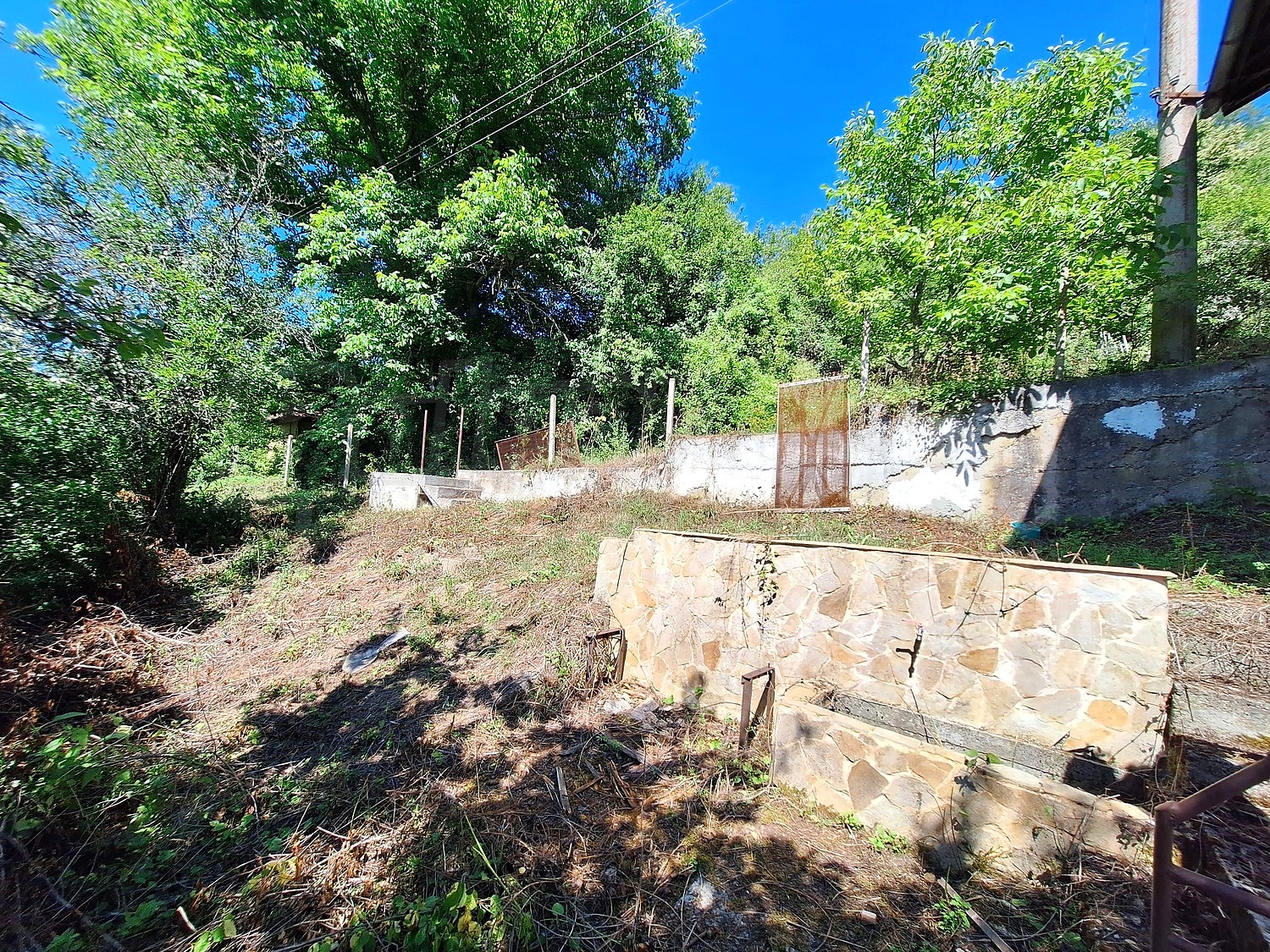 outside, garden, green area