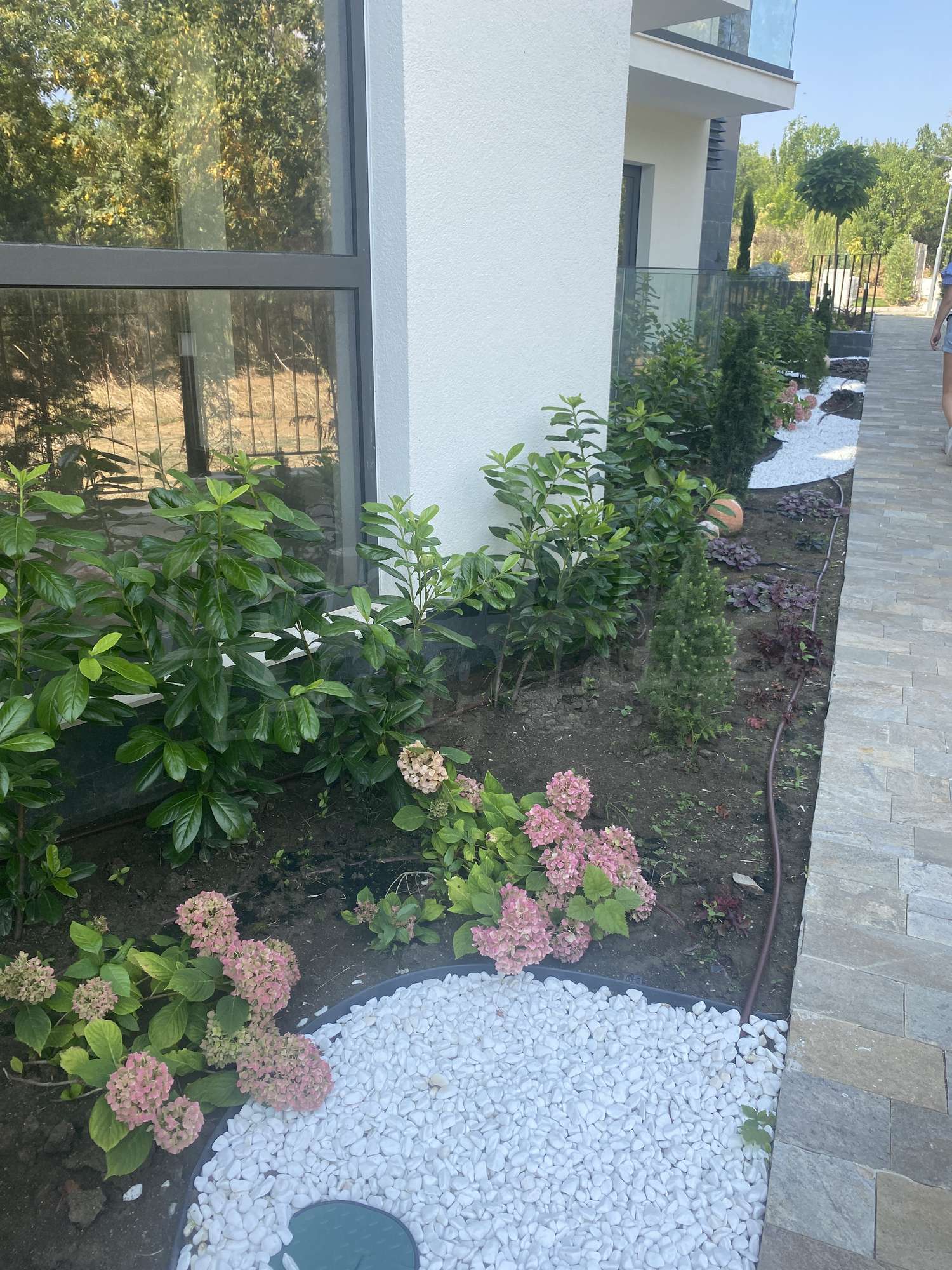 garden, outside, facade