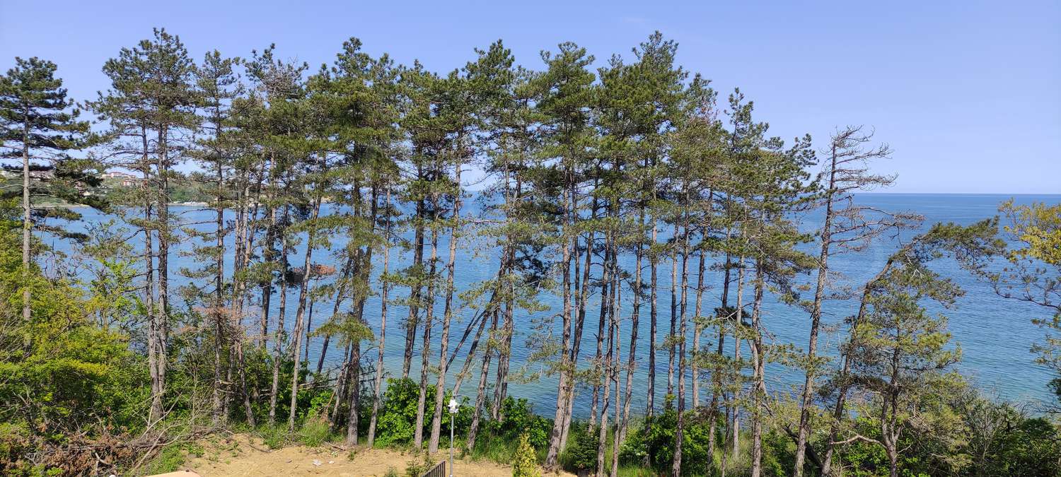 outside, sea, green area
