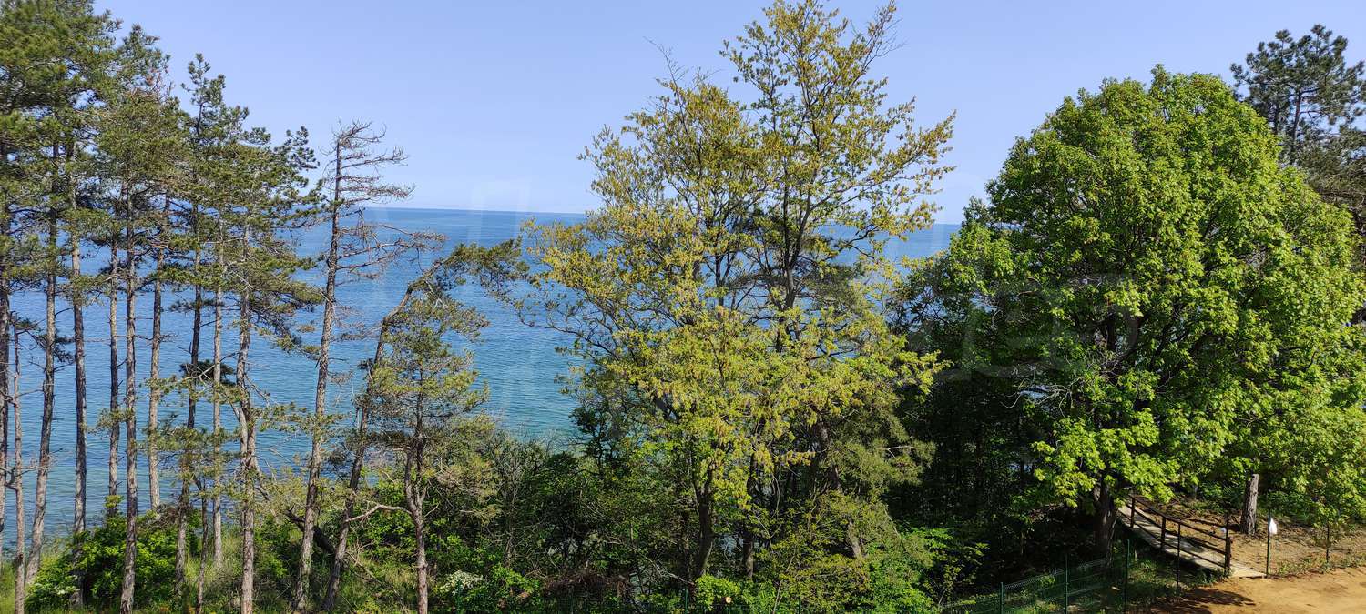 outside, sea, green area