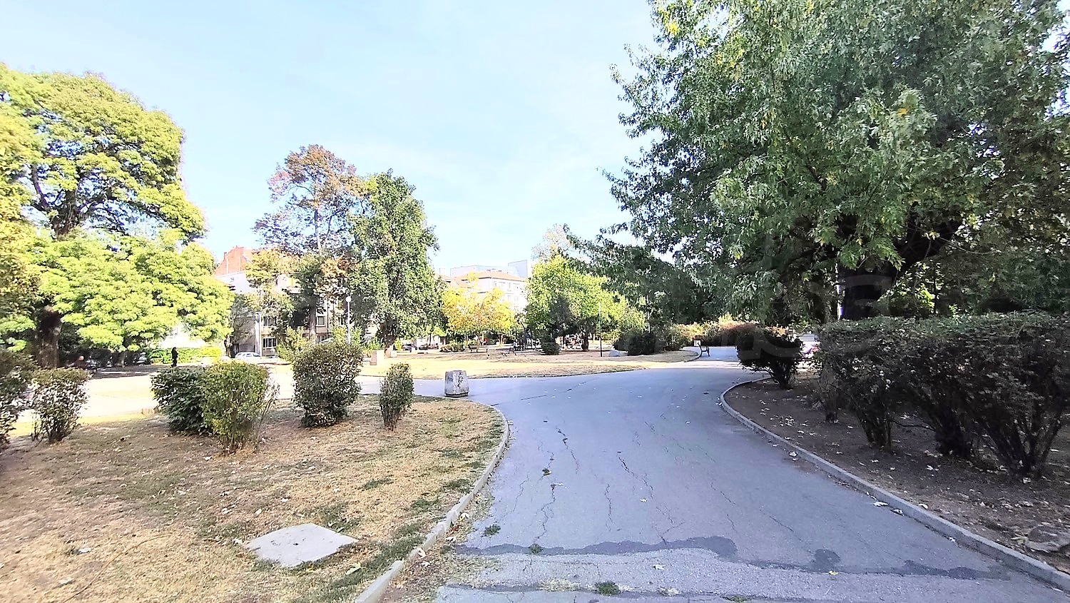 outside, green area
