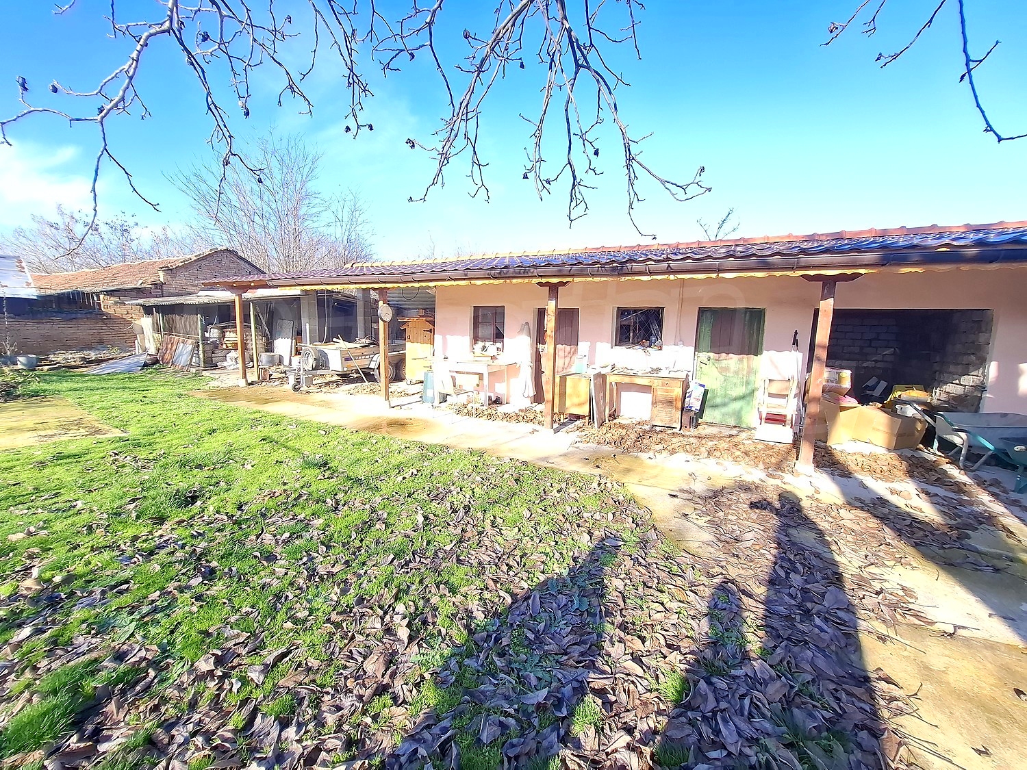 outside, garden