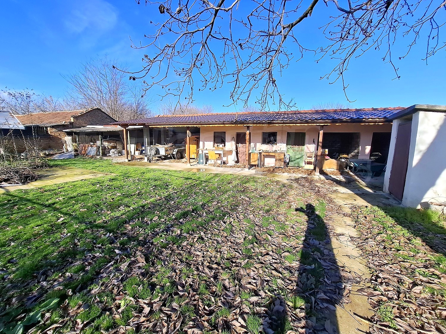 outside, garden