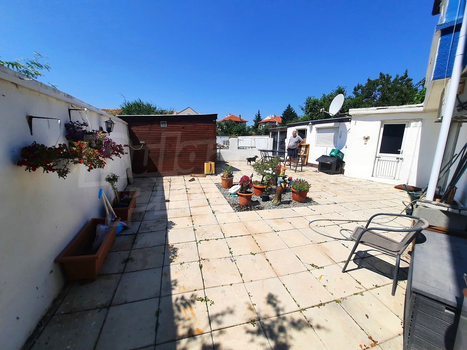 outside, garden