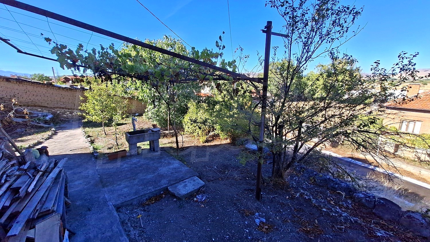 outside, garden