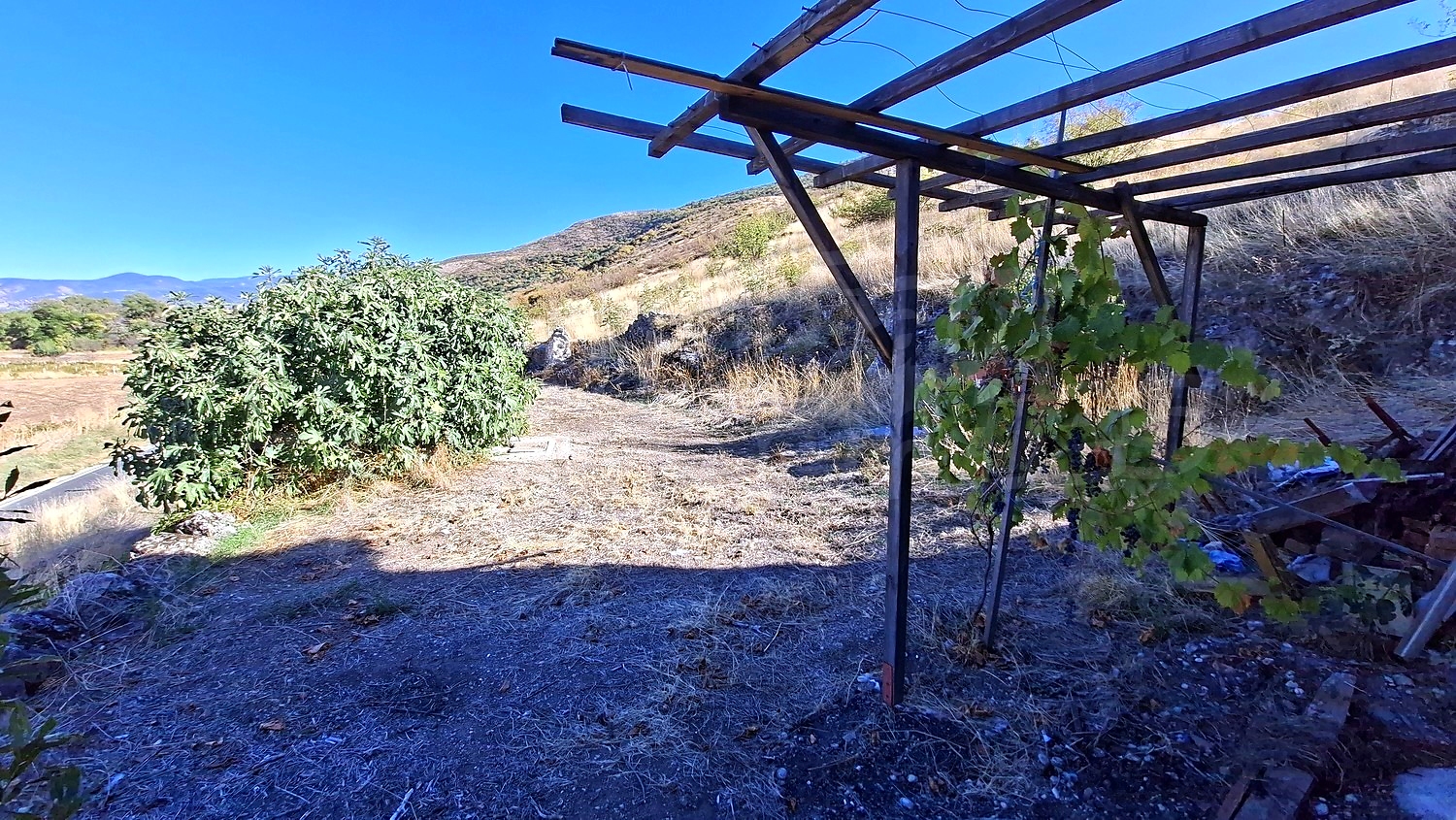outside, mountain, green area