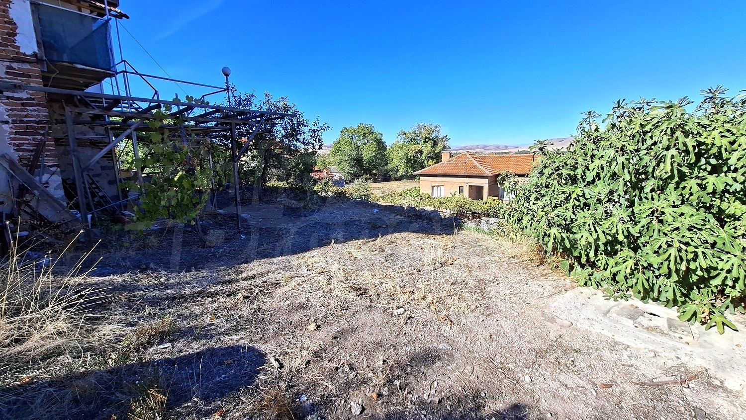 outside, garden