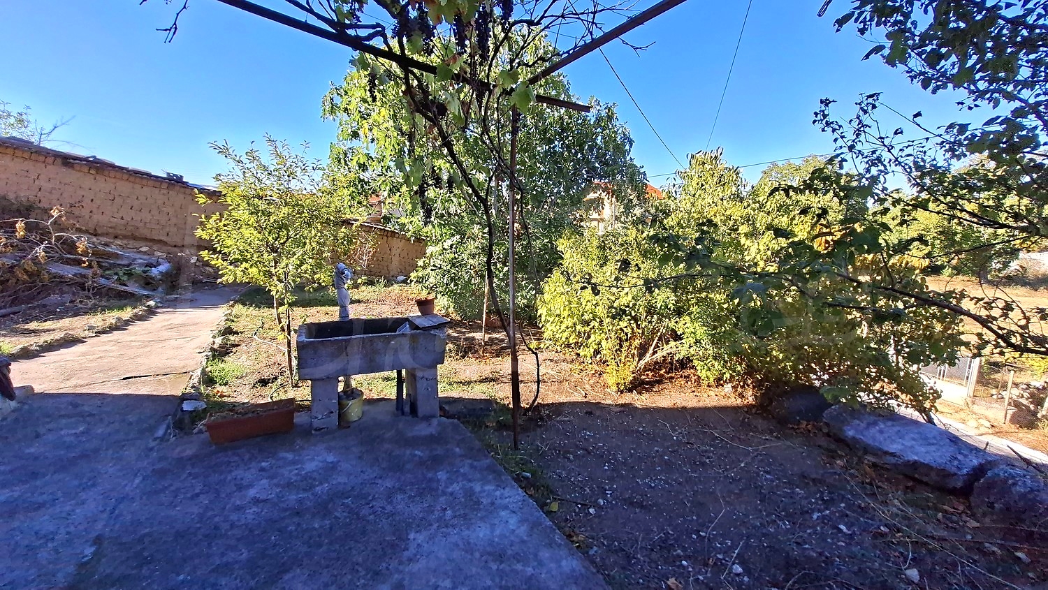 outside, garden