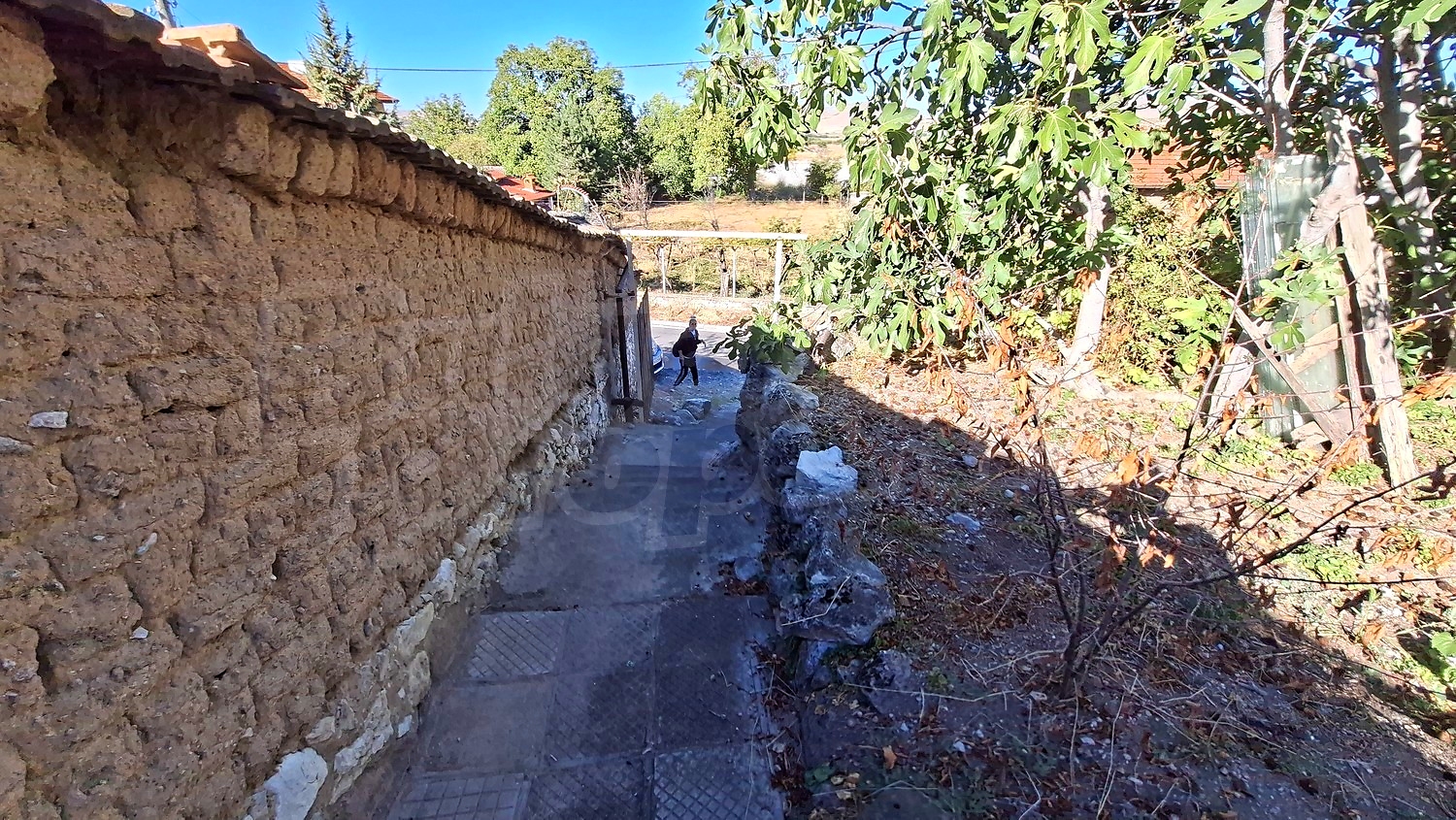 outside, garden