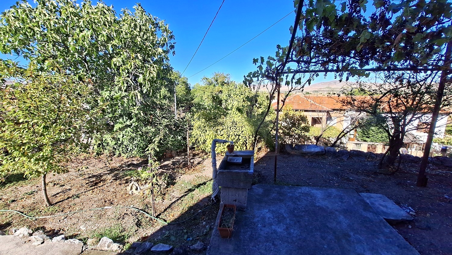 outside, garden, green area
