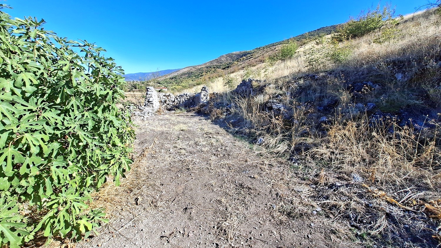 outside, mountain, green area