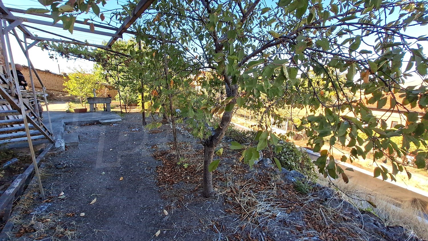 outside, garden