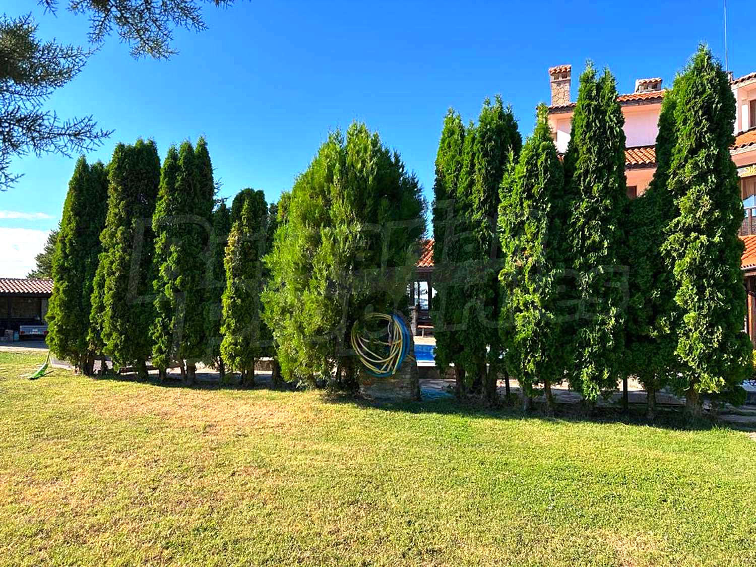 outside, garden