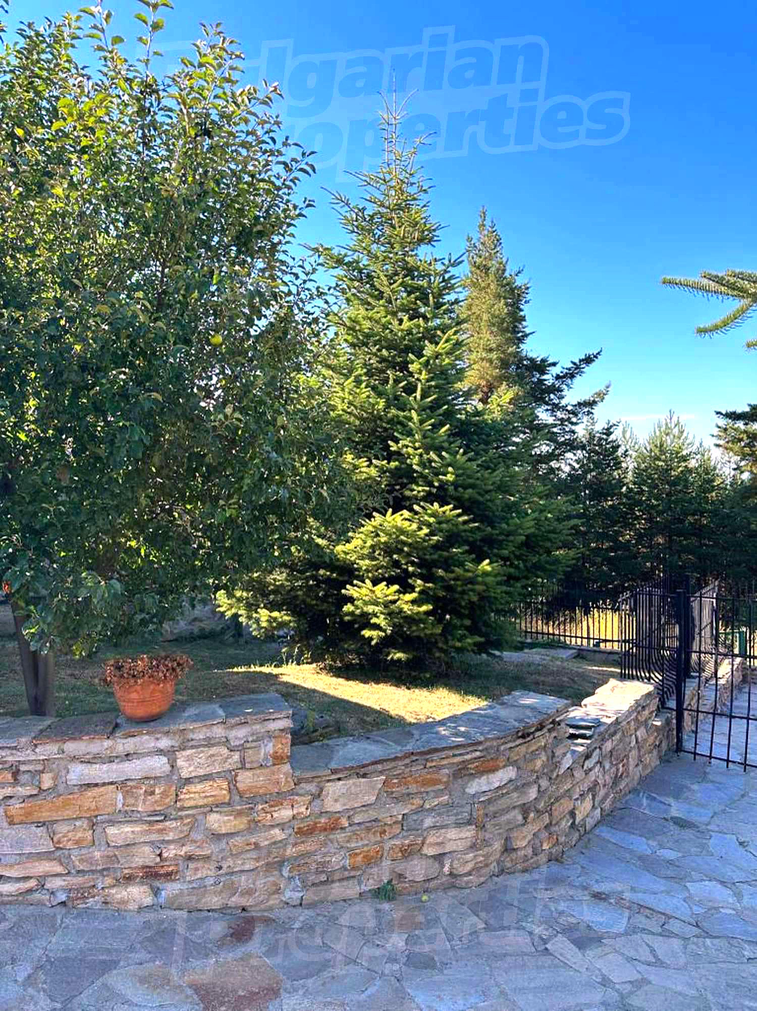 outside, garden, green area