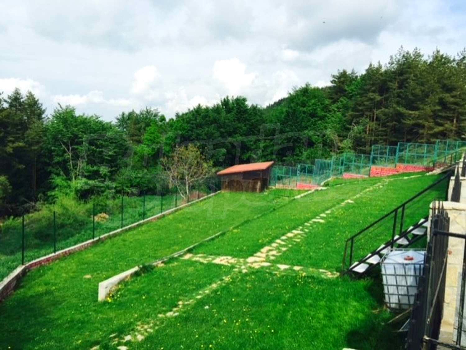 outside, garden, green area