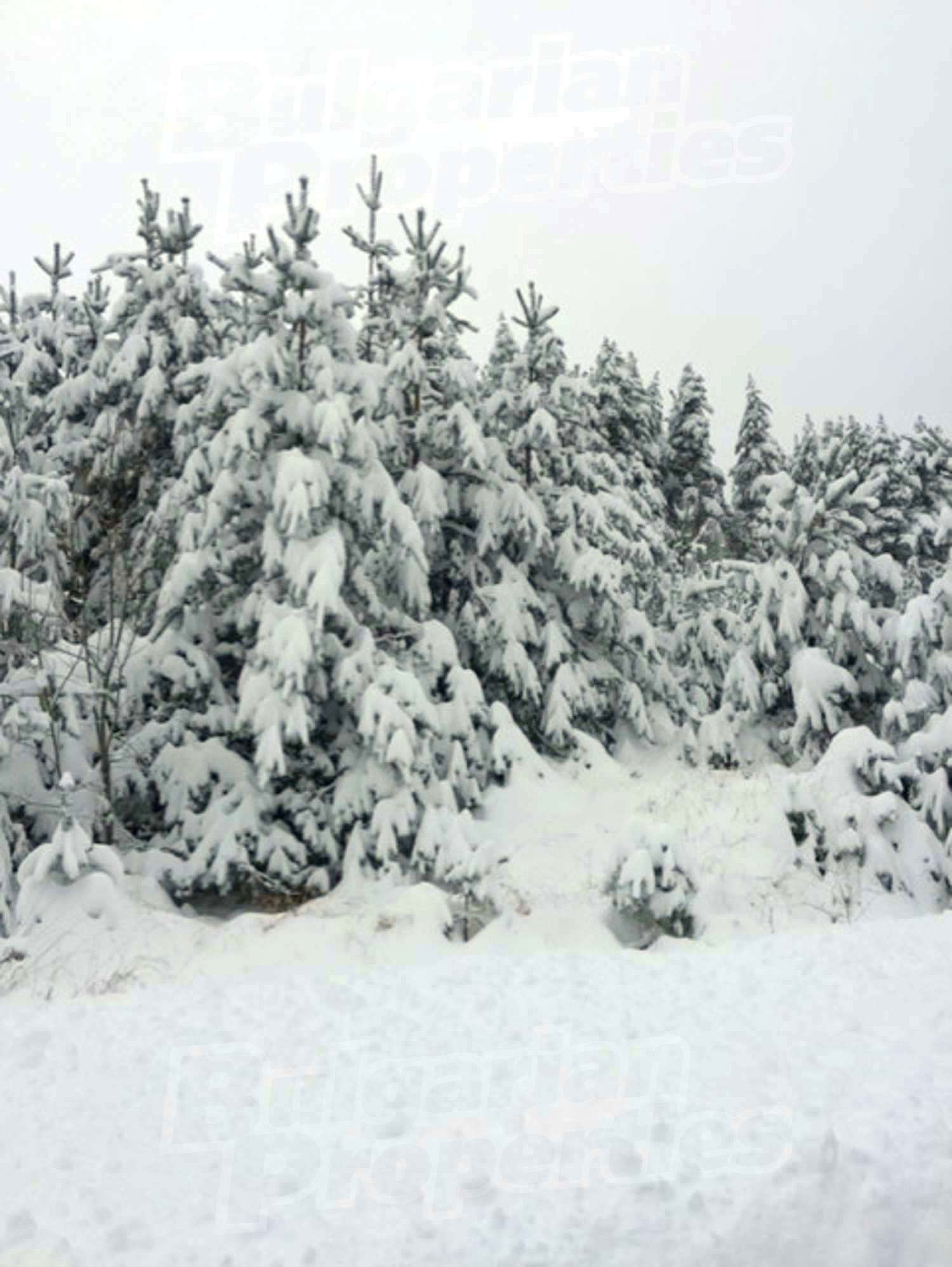 outside, mountain
