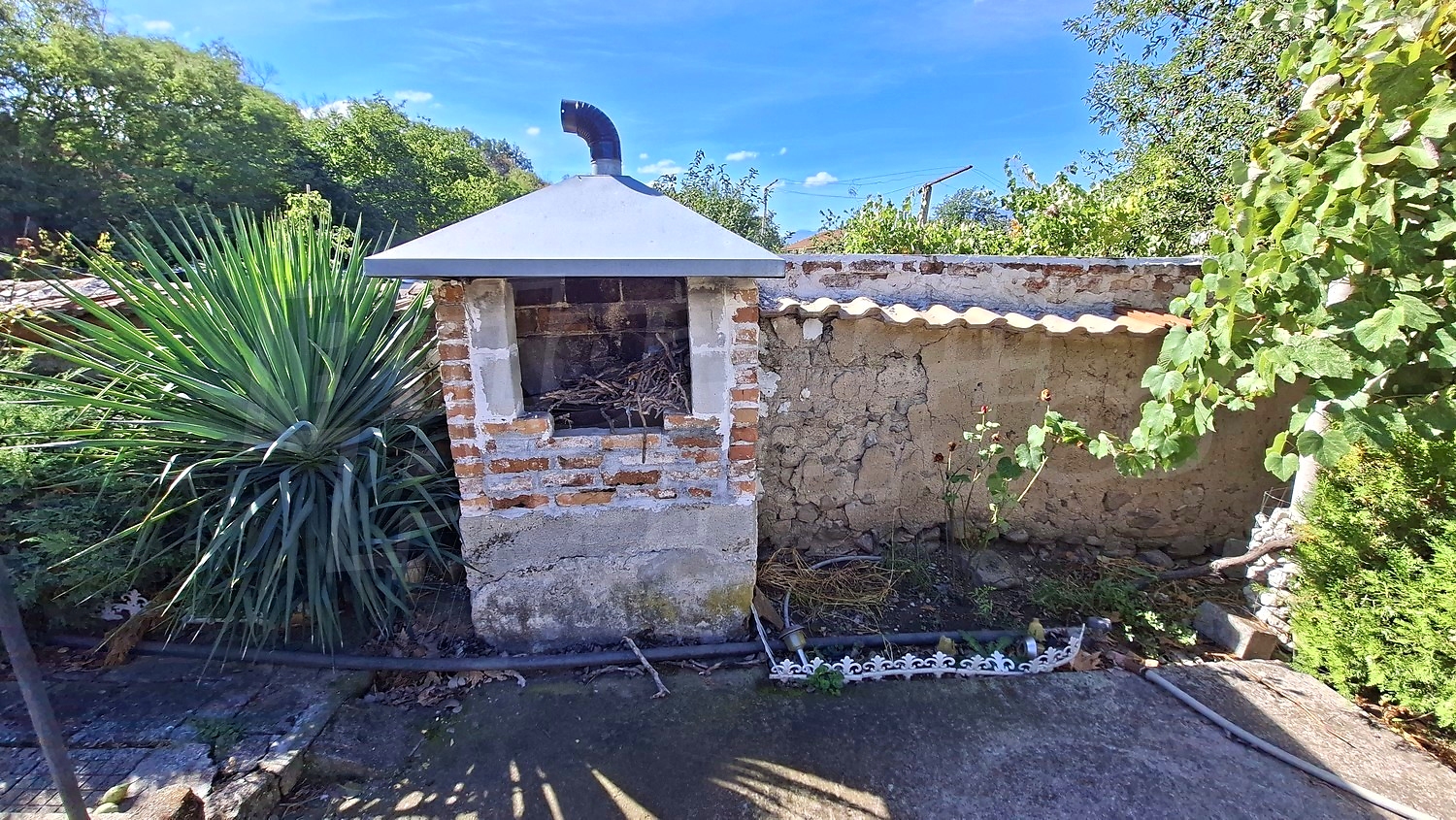 outside, garden