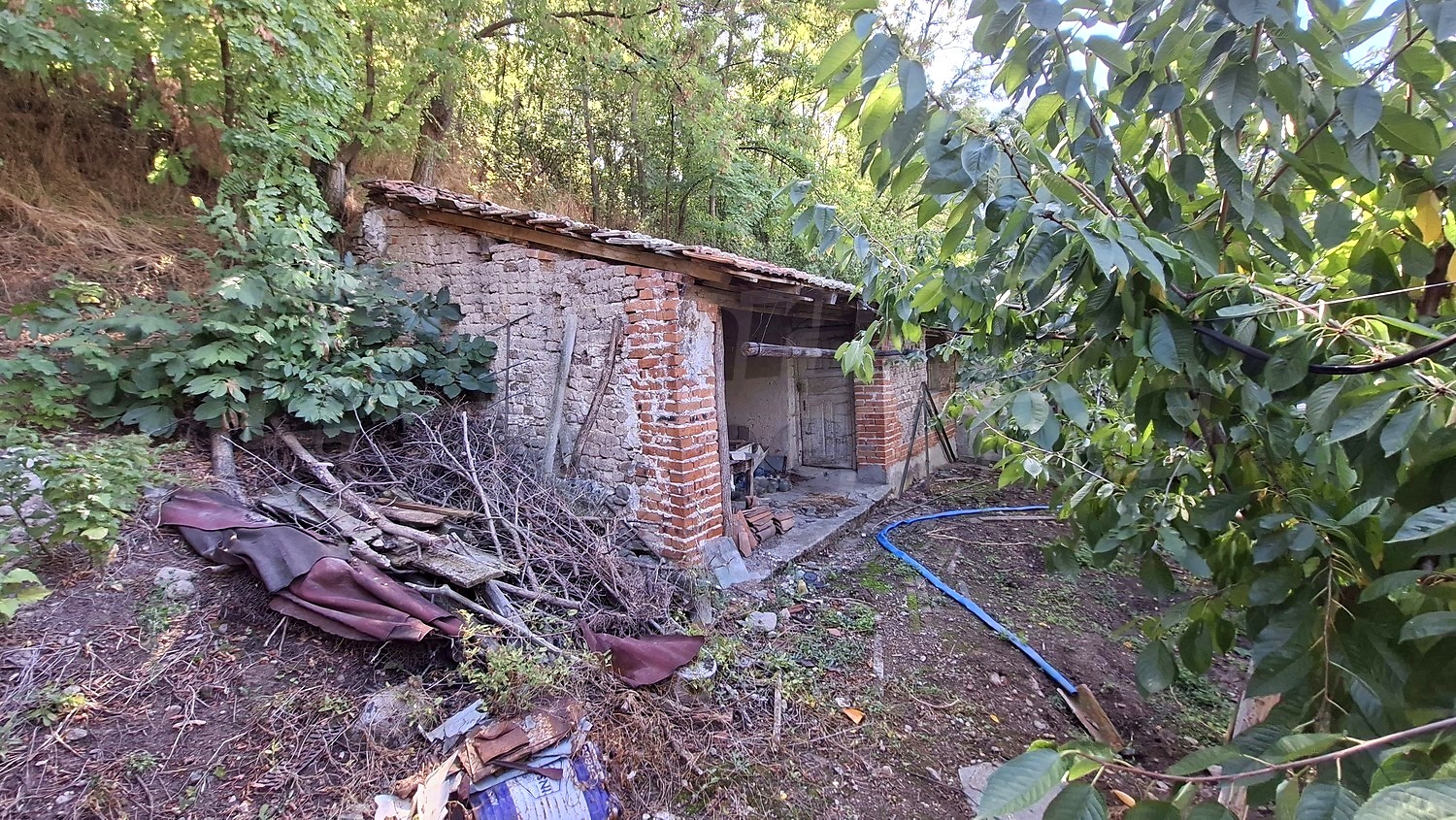 outside, garden