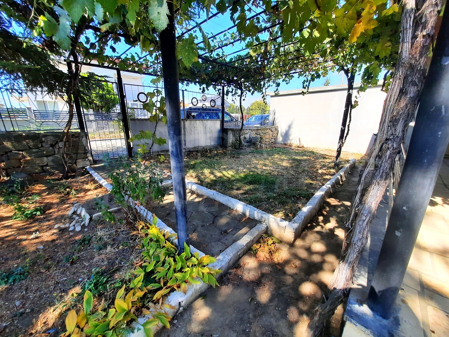 garden, outside