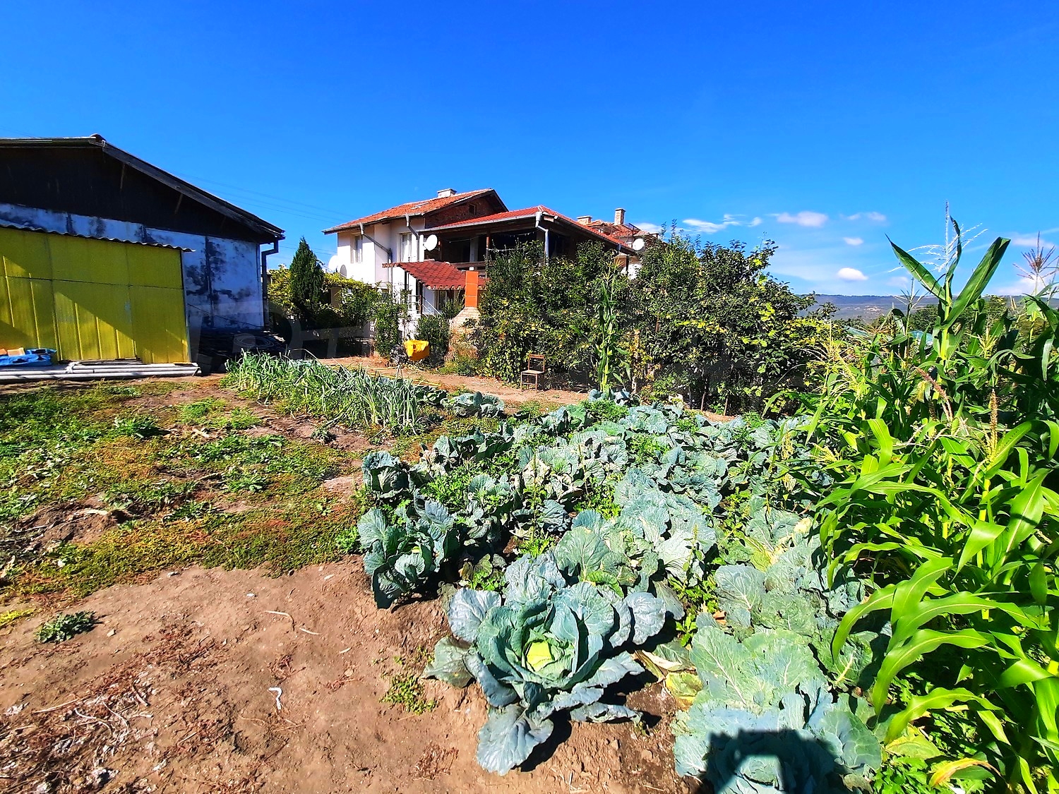 outside, garden
