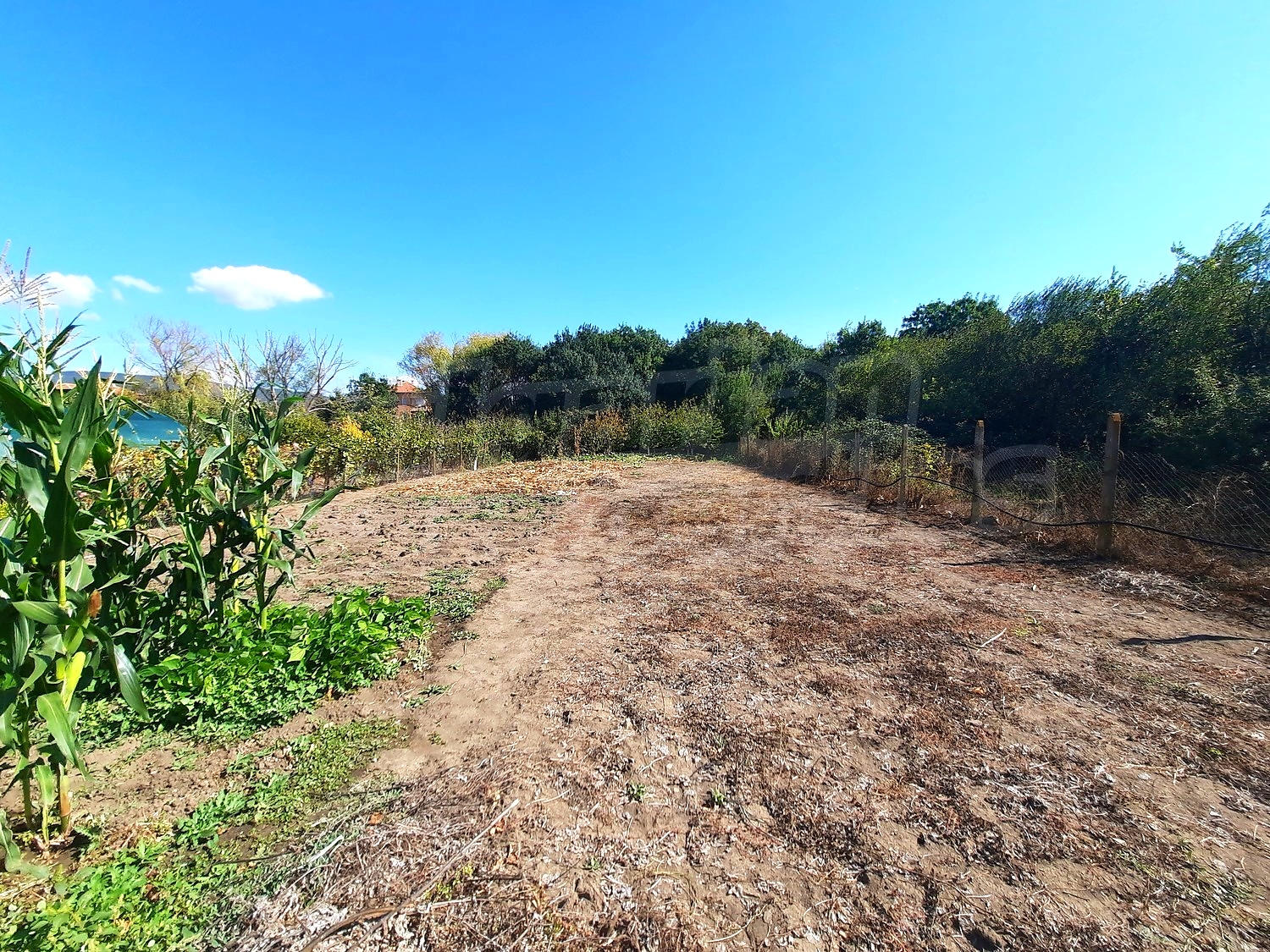 outside, garden, green area