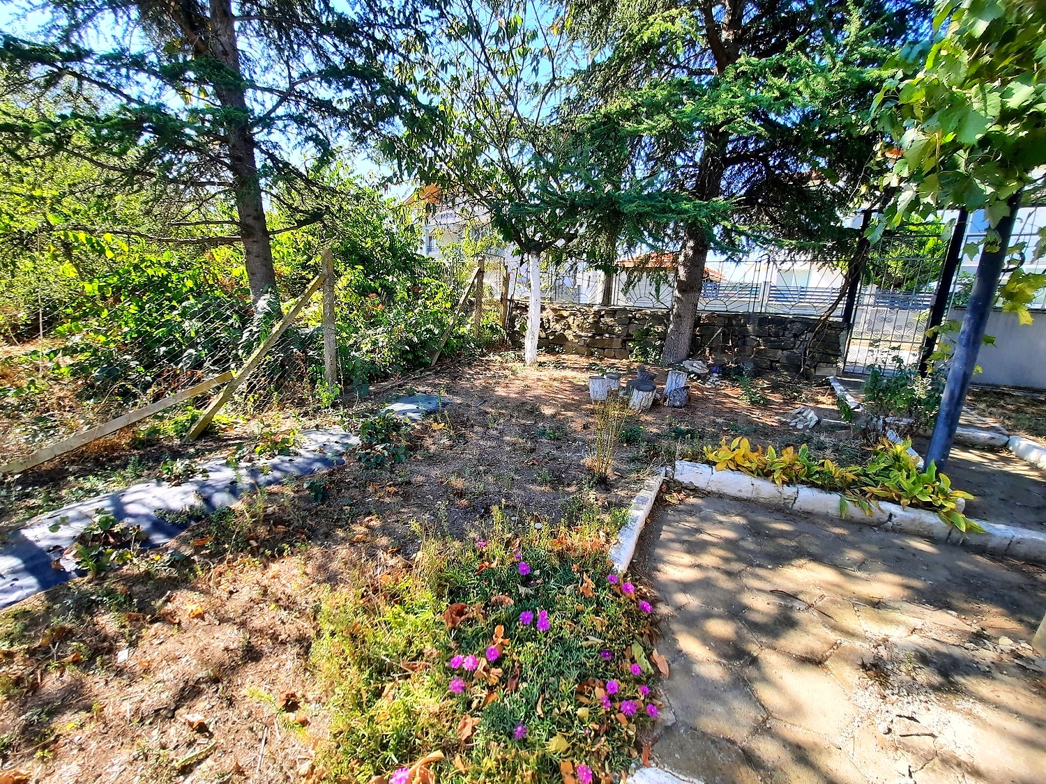 outside, garden, green area
