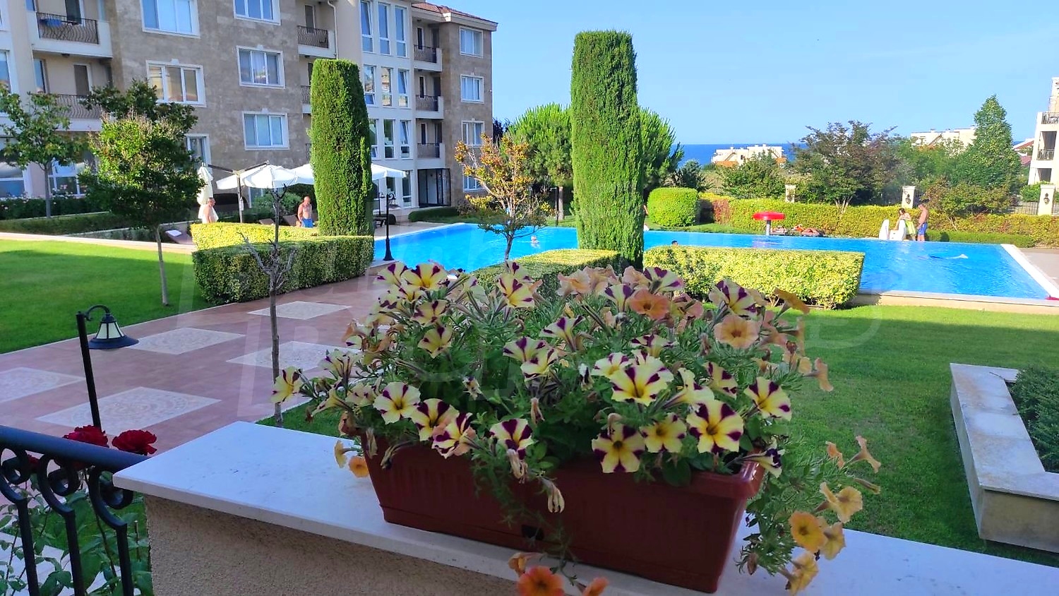 outside, pool, garden, green area