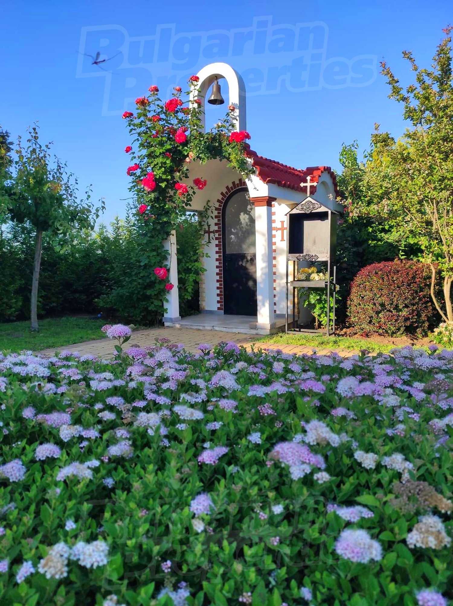 garden, outside