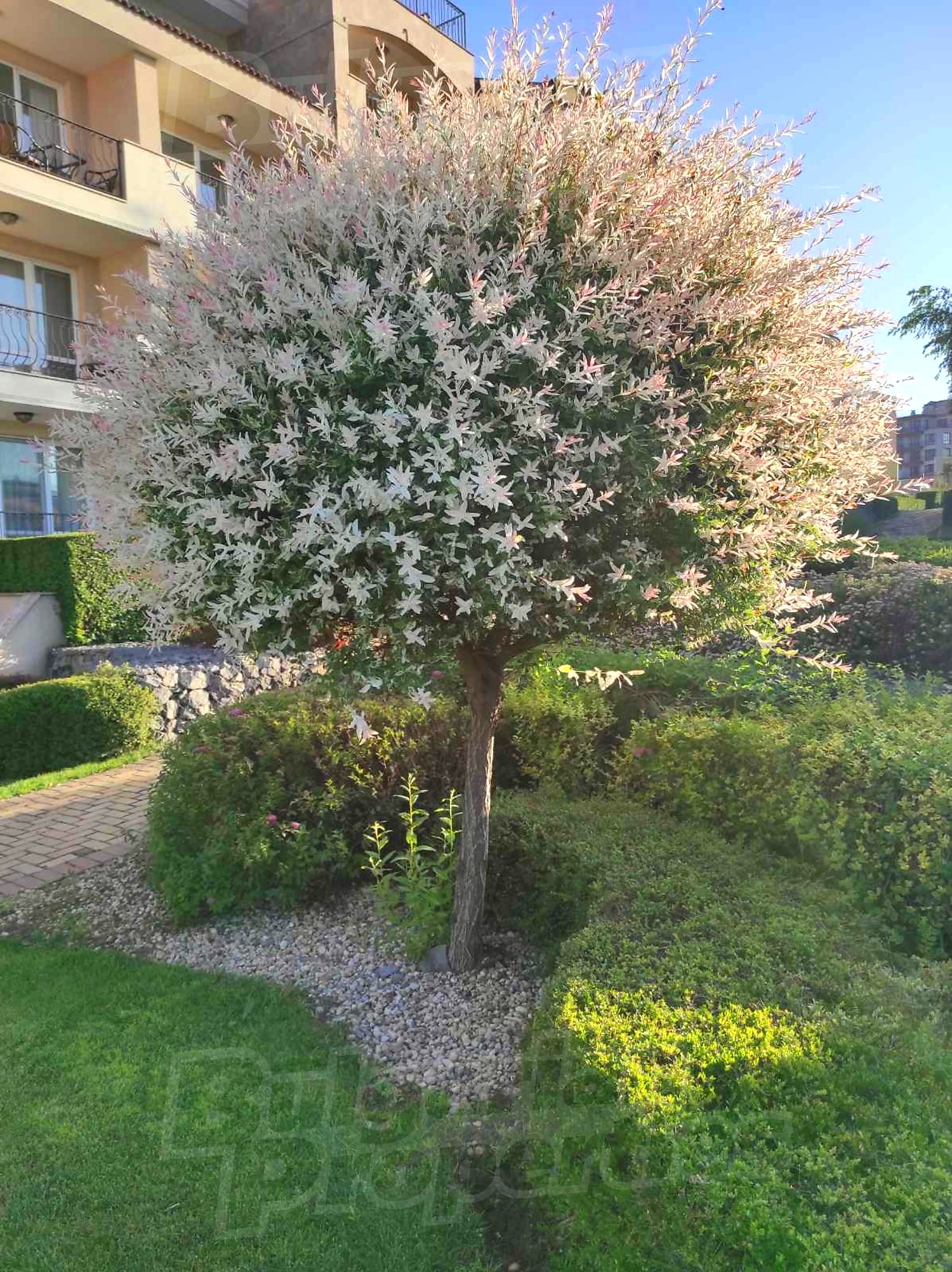 outside, garden, facade