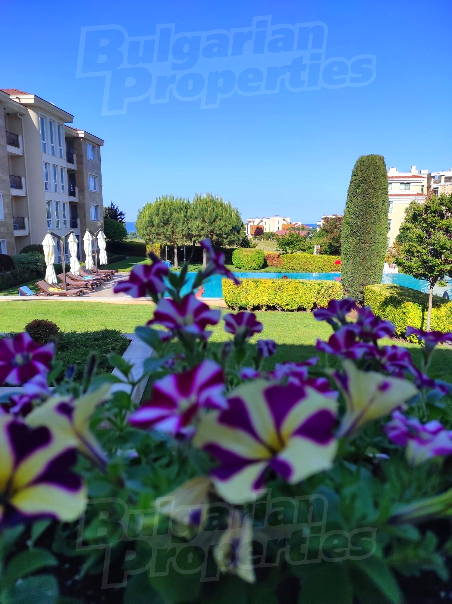 outside, garden, pool, green area