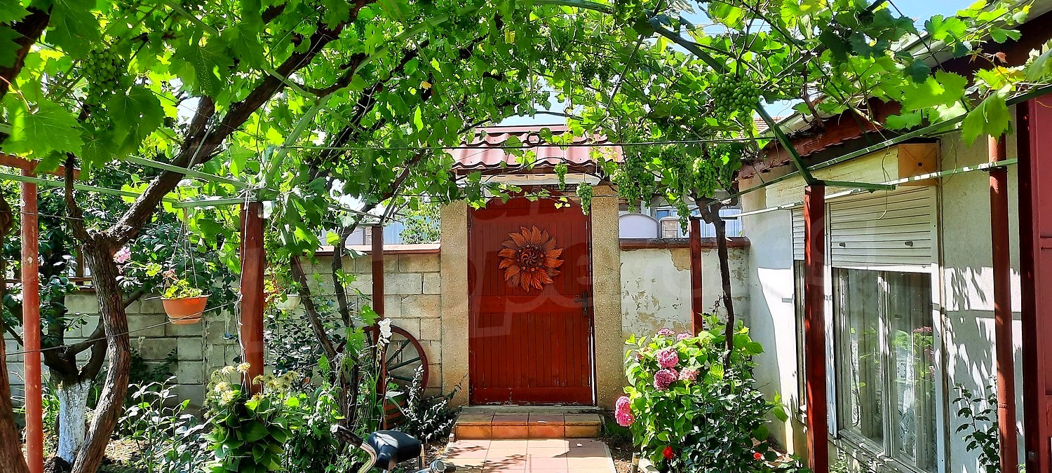 outside, garden, green area