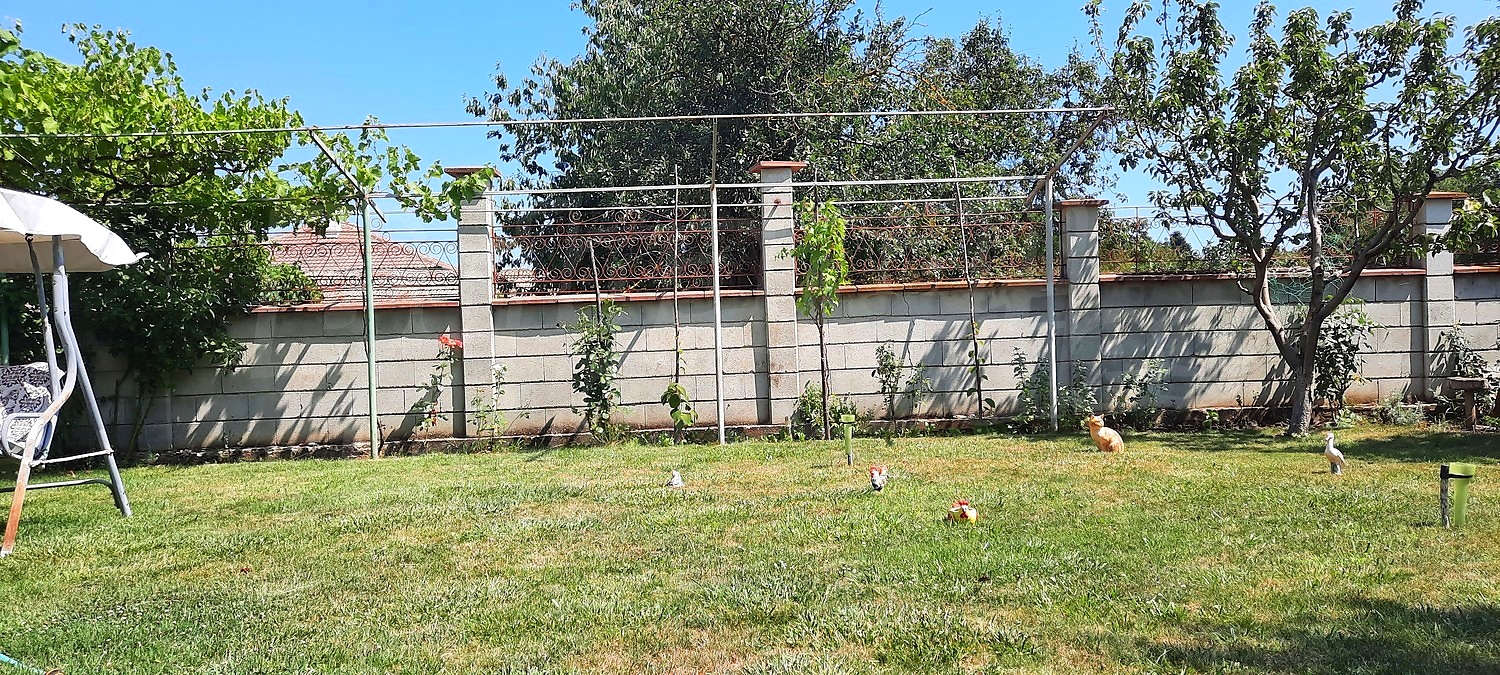 outside, garden