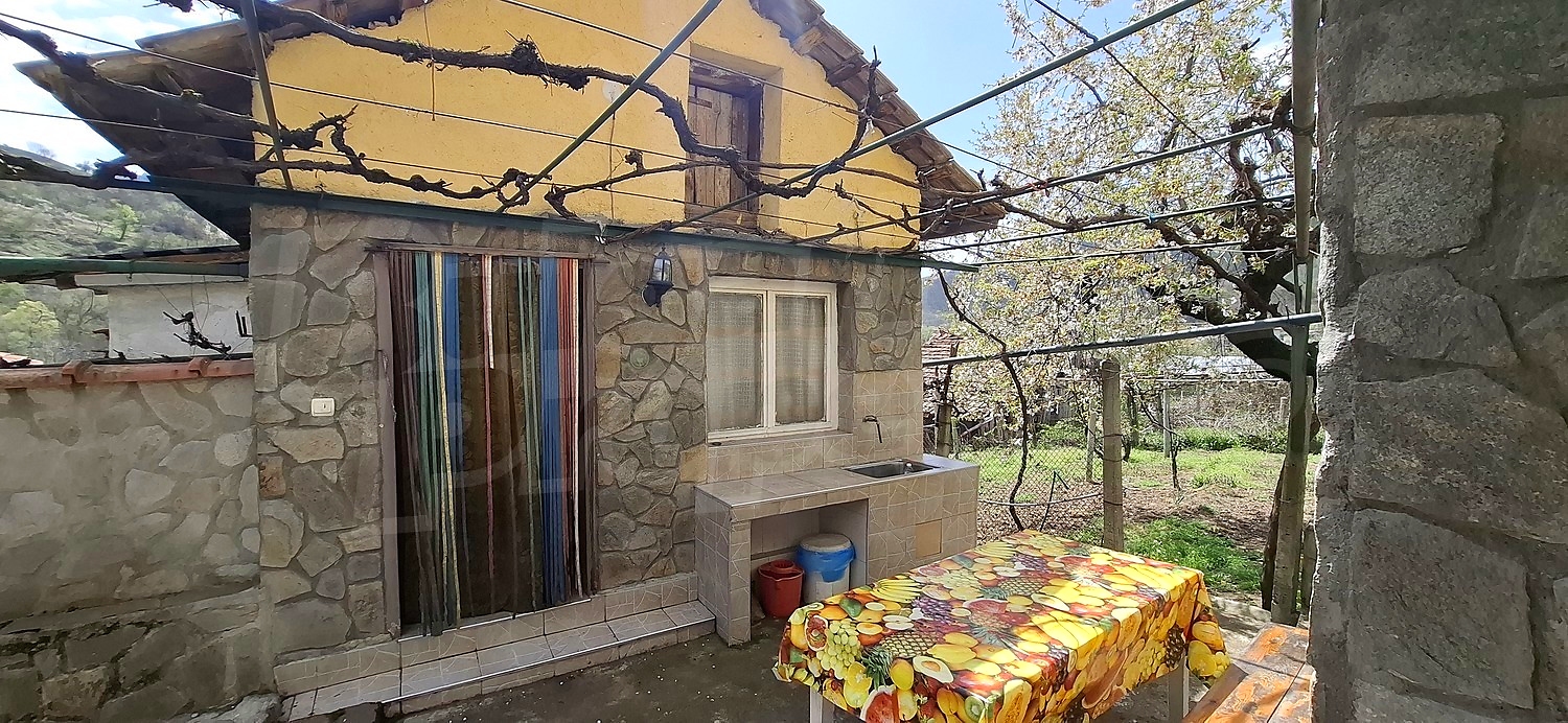 outside, garden