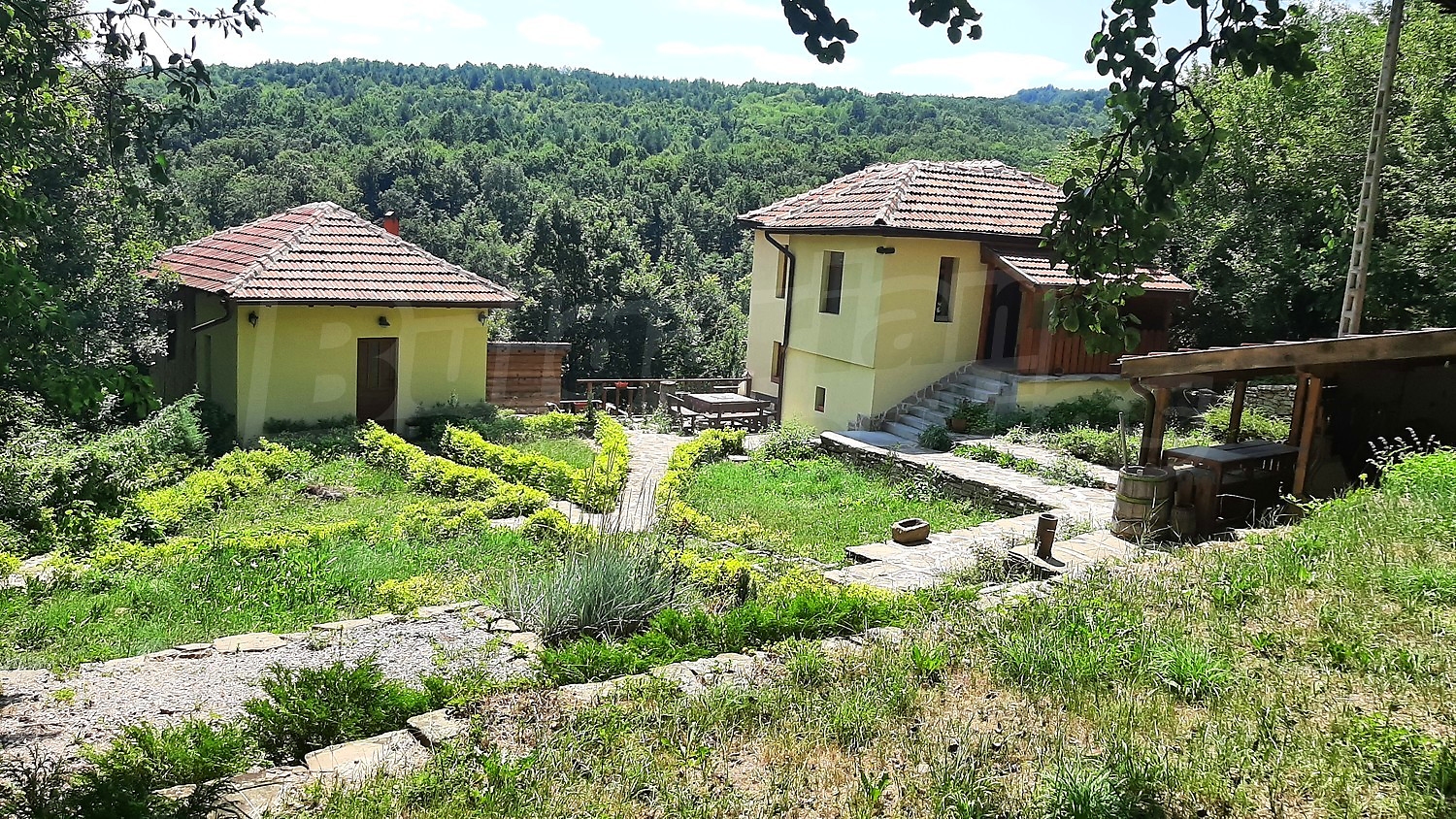 outside, green area, garden