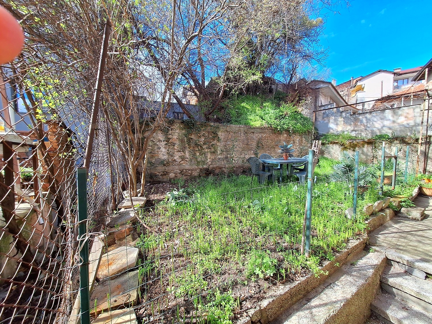 outside, garden