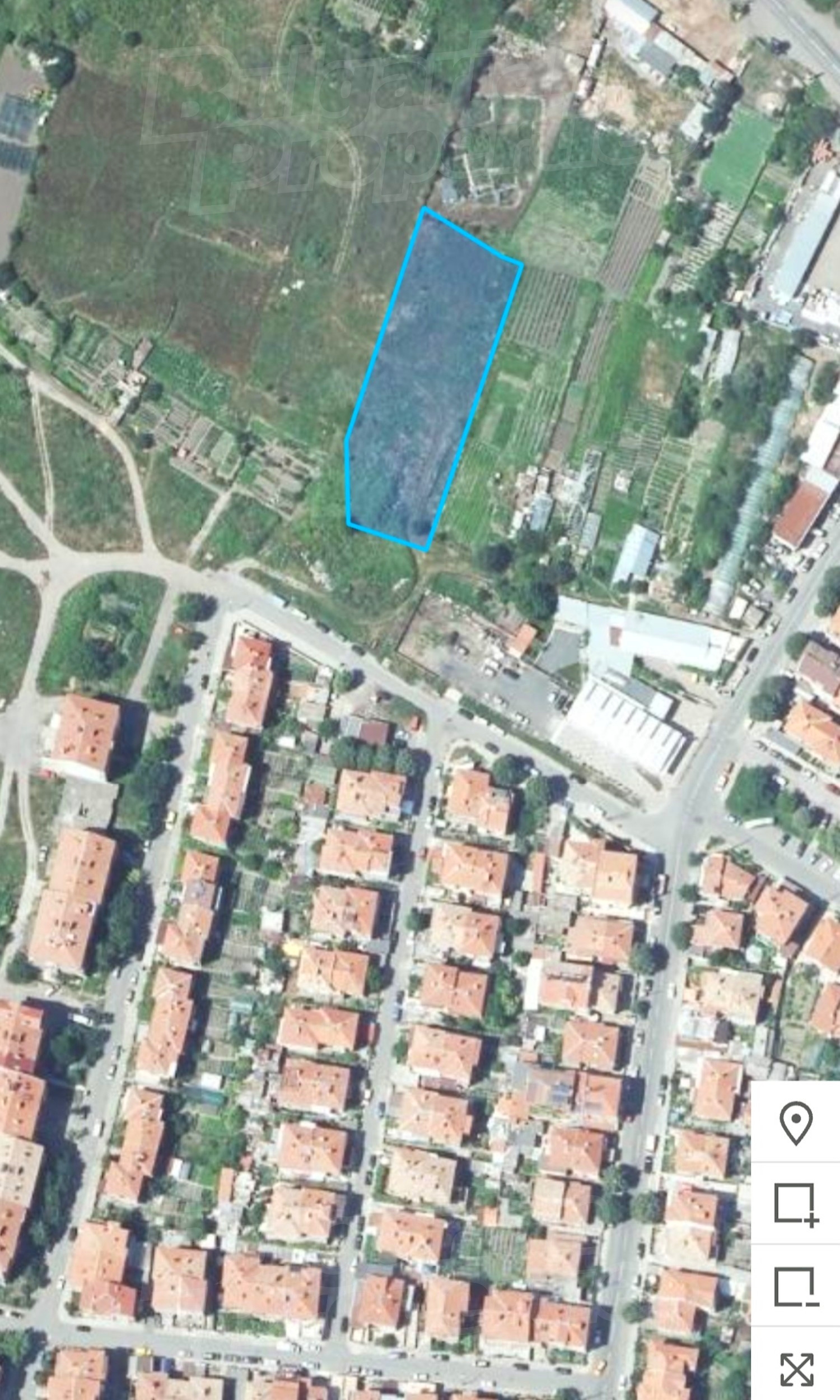 outside, green area