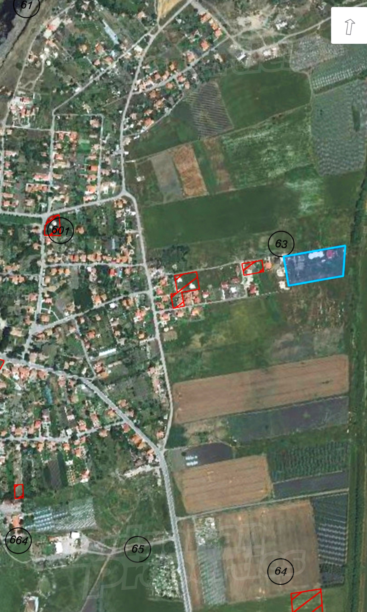 outside, green area