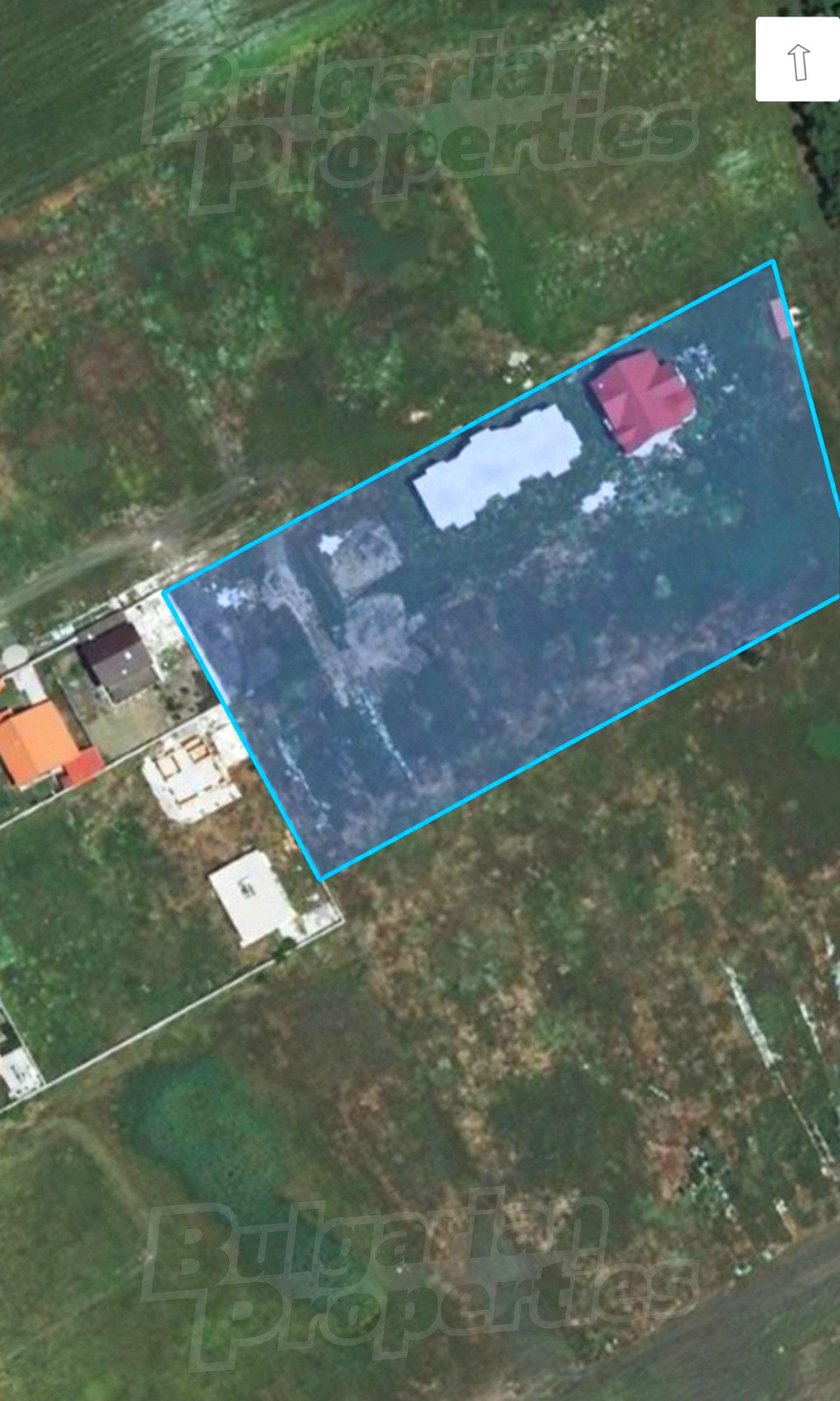 outside, green area