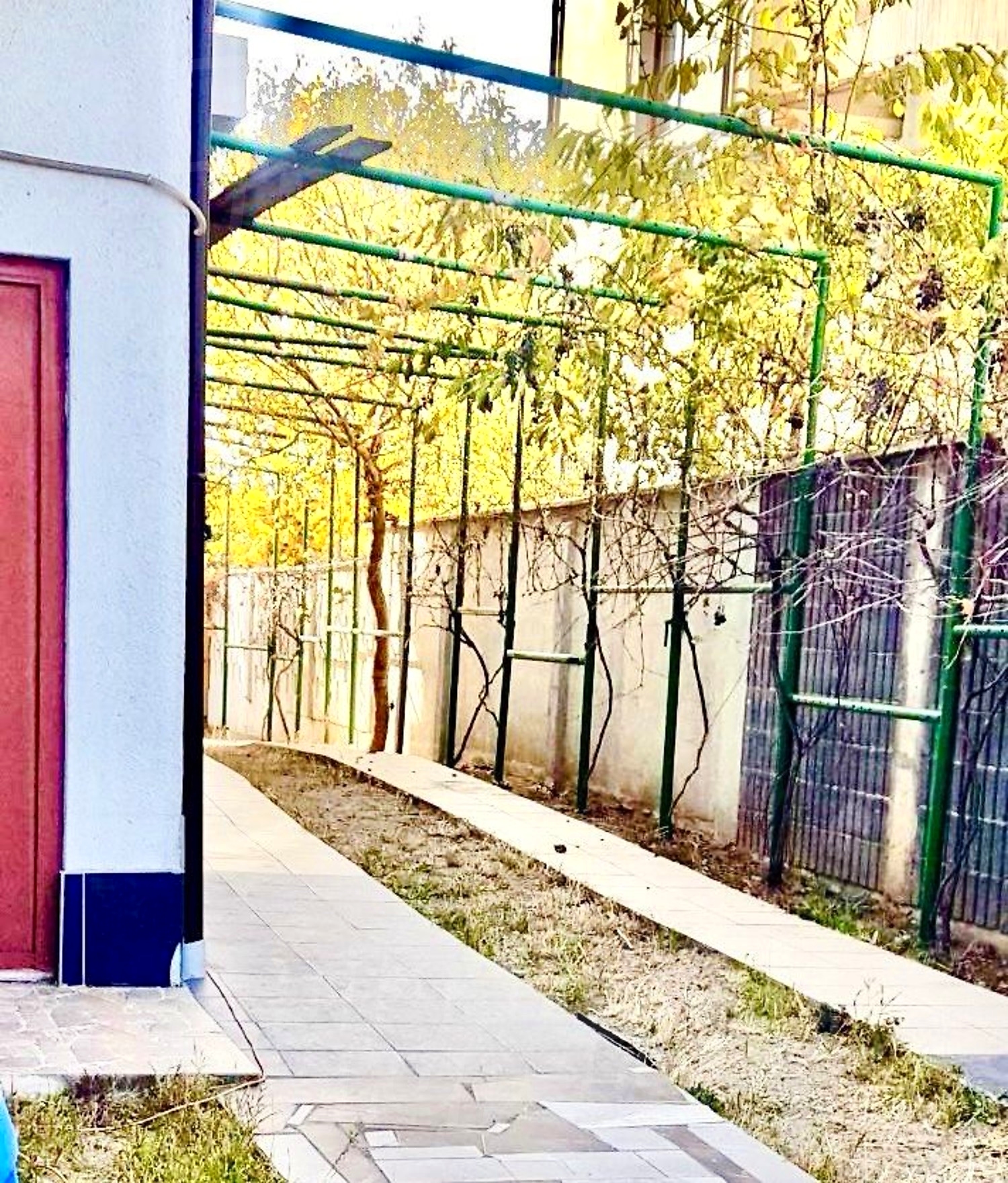 outside, garden