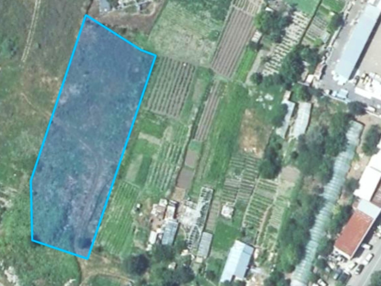 outside, green area