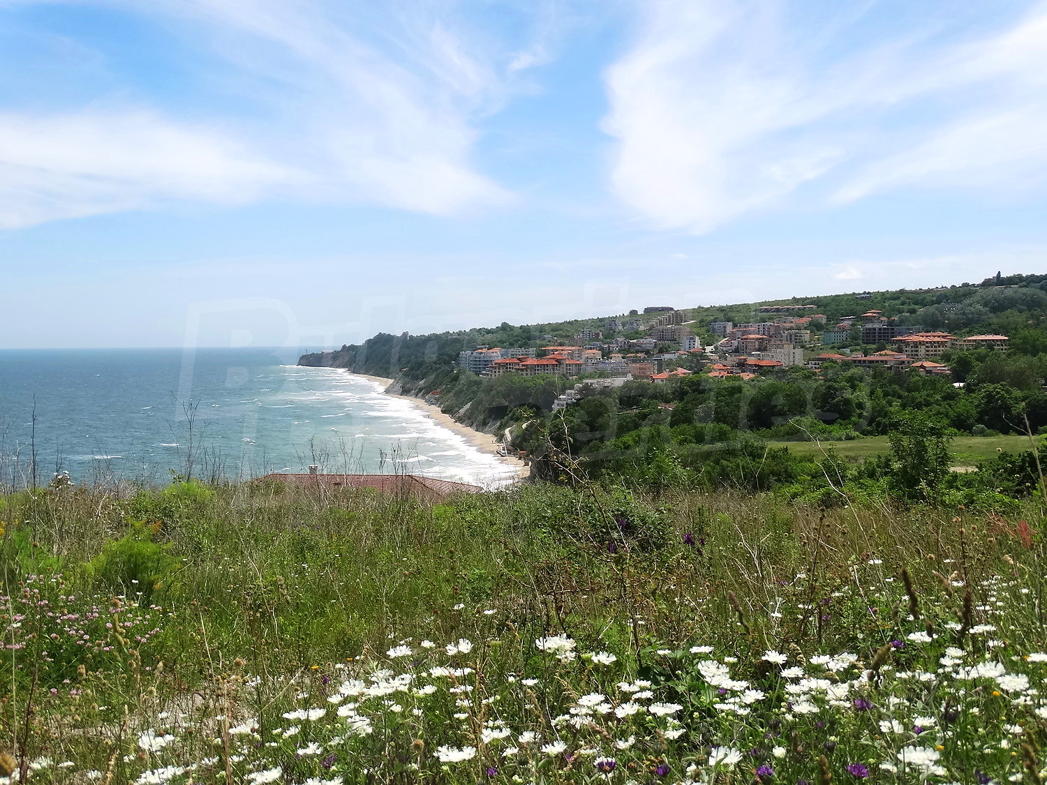 outside, sea, green area