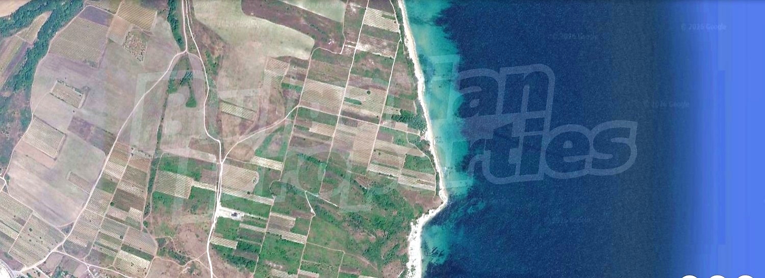 outside, sea, green area