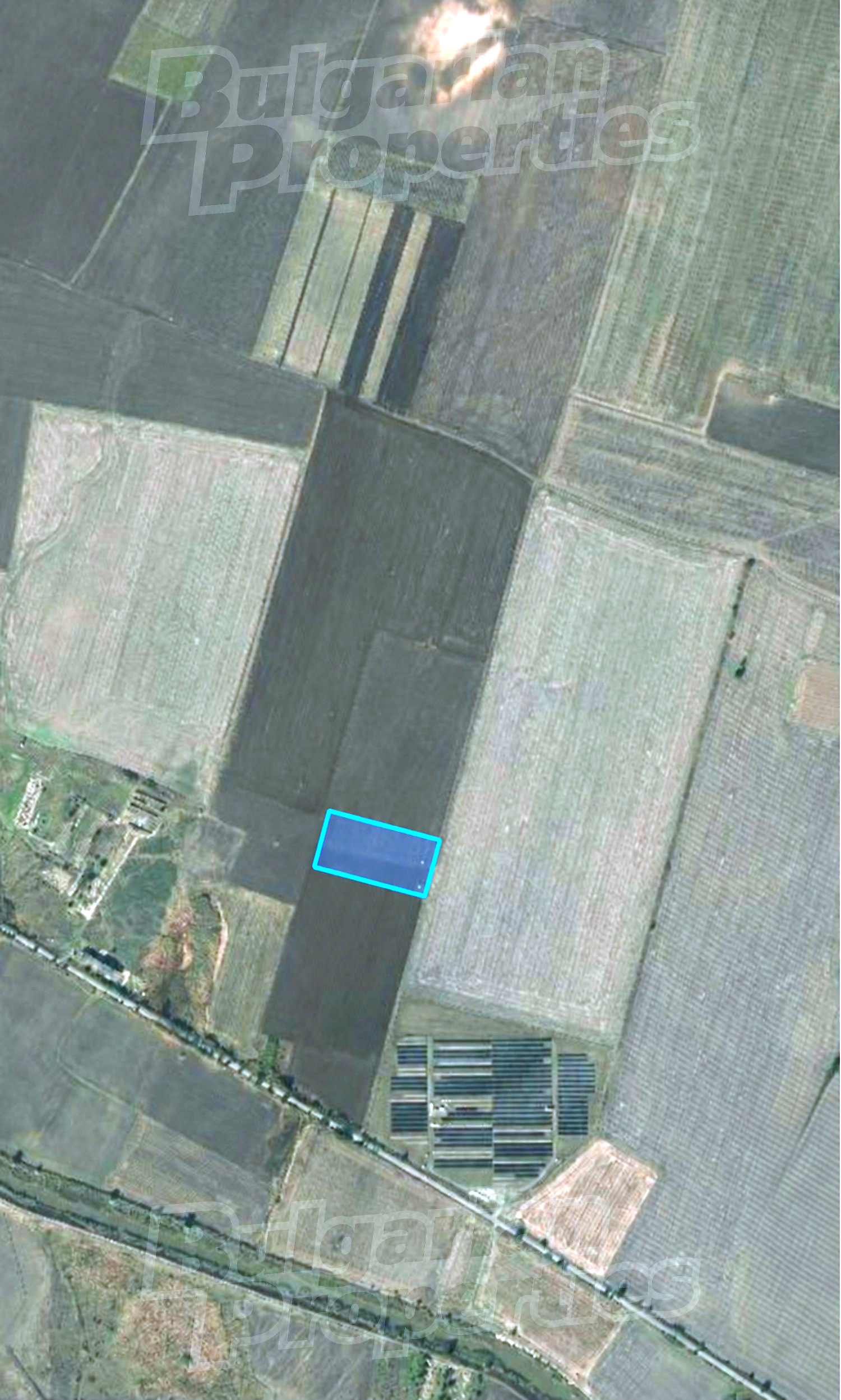 outside, green area
