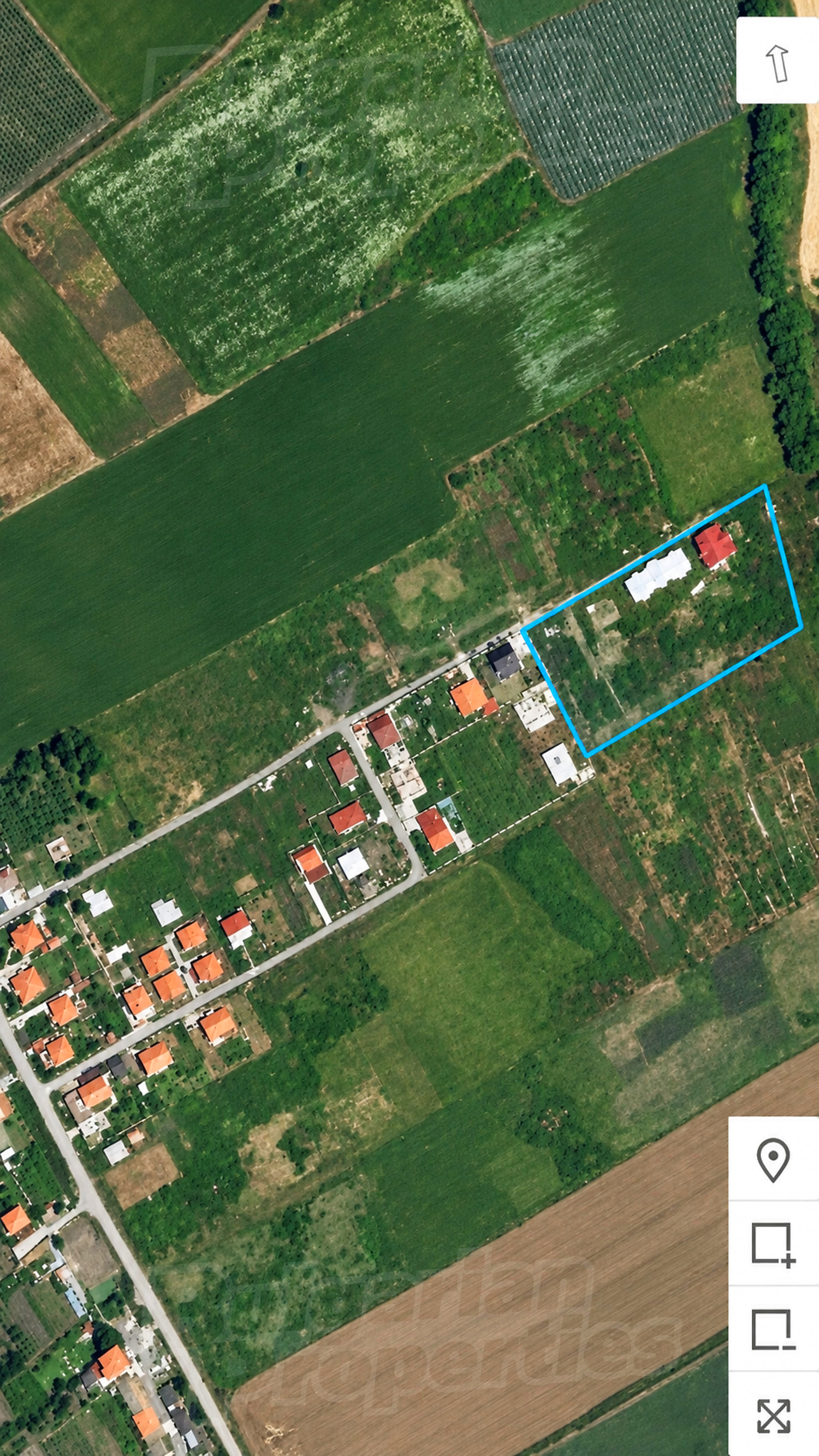 outside, green area