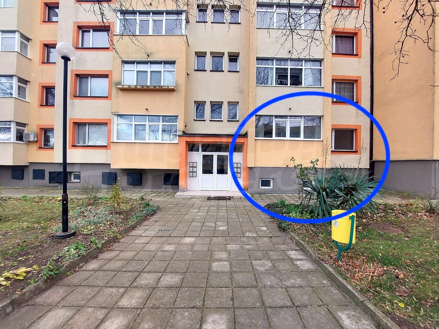 facade, garden