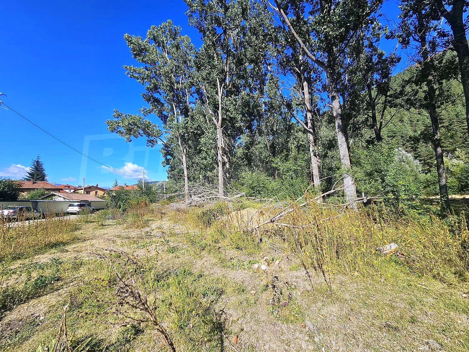 outside, garden, green area